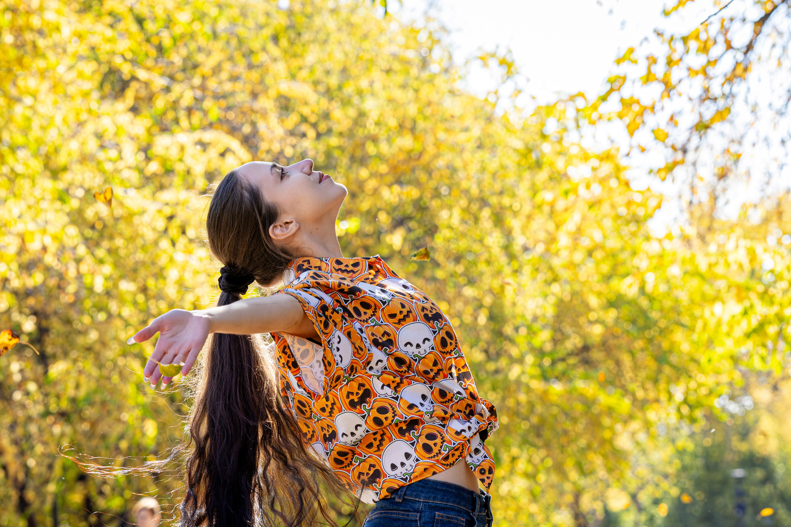 Новая коллекция Mussi. Bertran Ordo