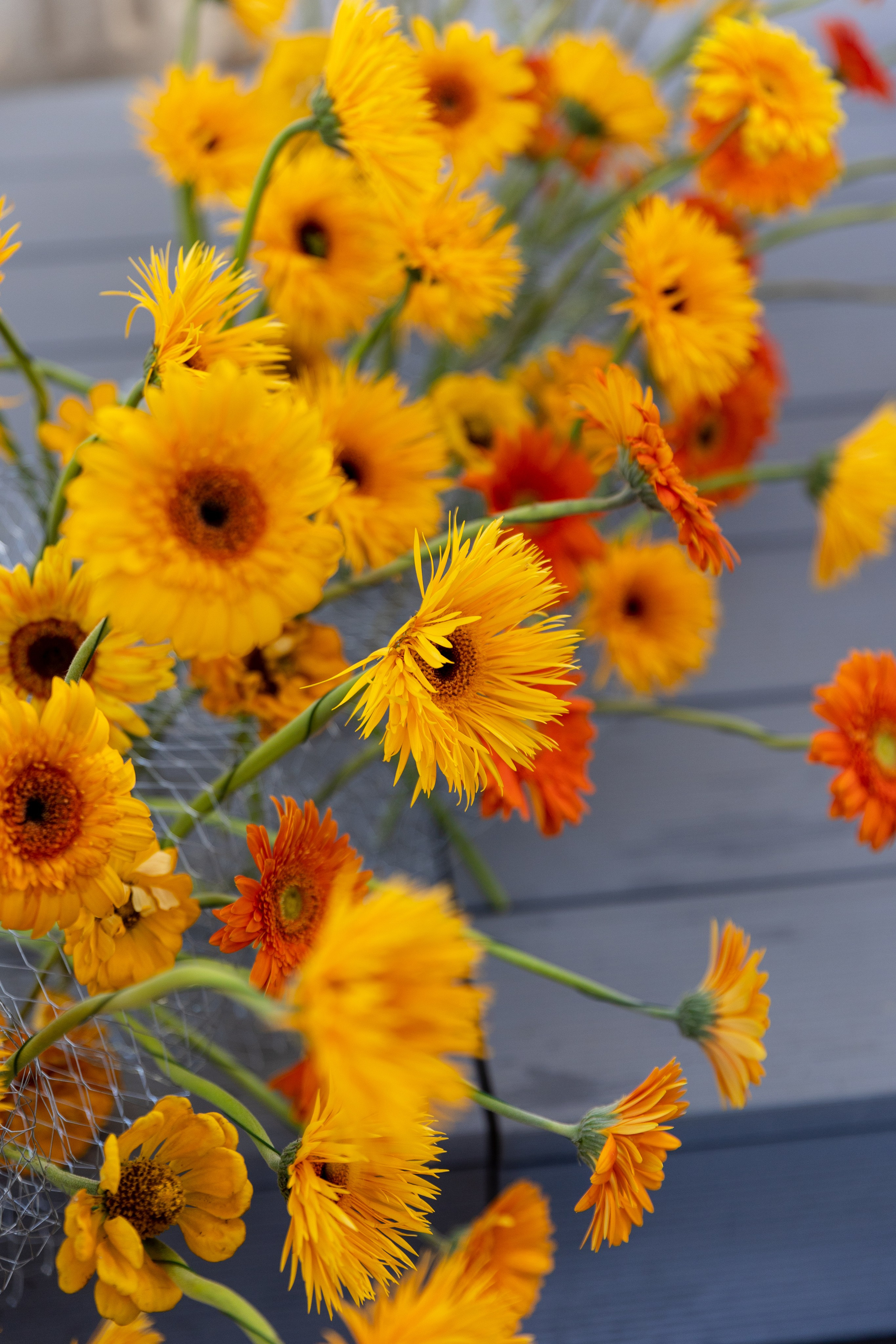 Это по любви…. Фотограф Эмиль Исякаев