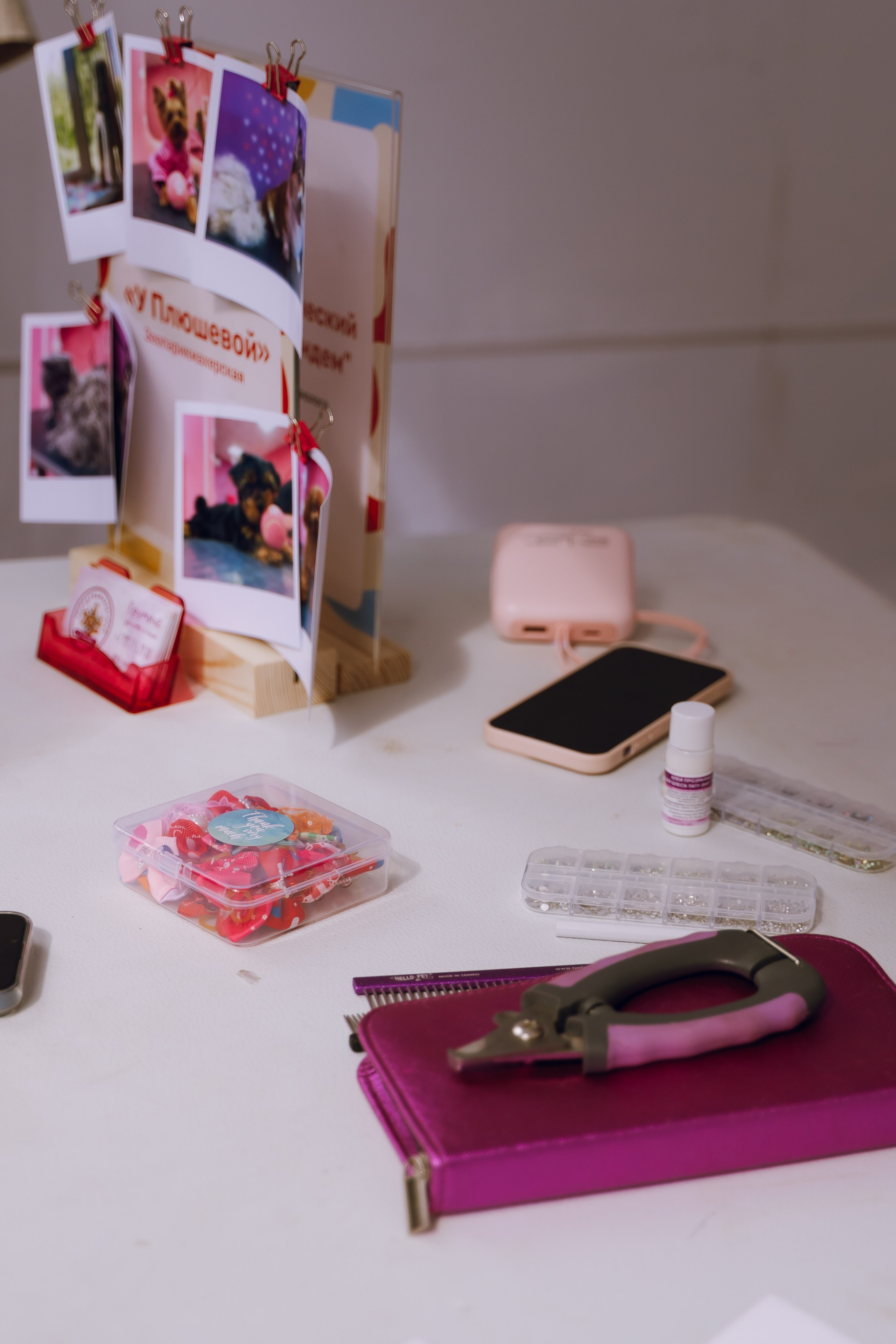 Площадка фестиваля «Мампус и его друзья» в Лесопарке 2025. Фотограф Надежда Погребняк | Рязань | Москва