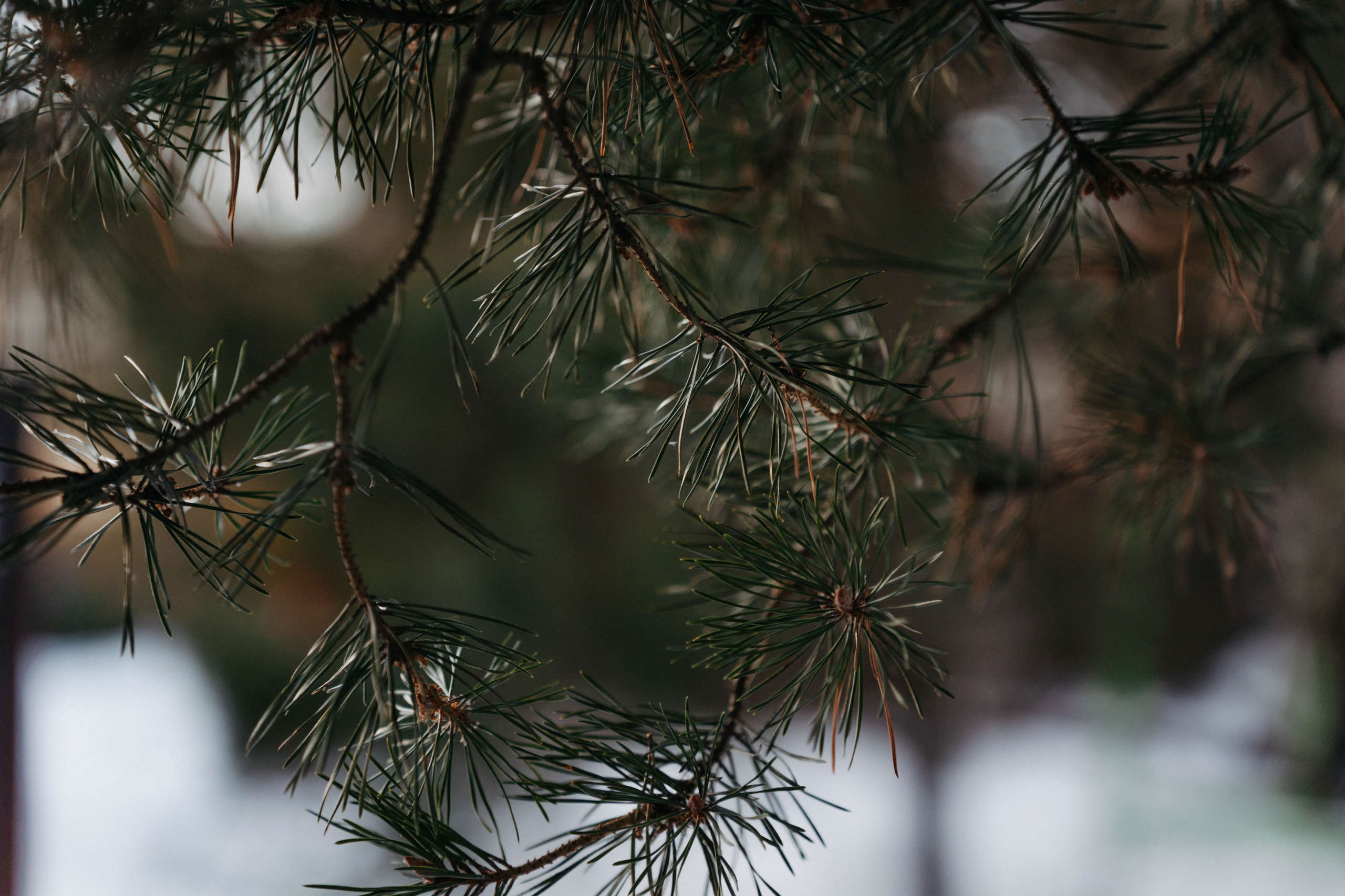 Междуречье|Экоотель. Фотограф Абакумова Анастасия
