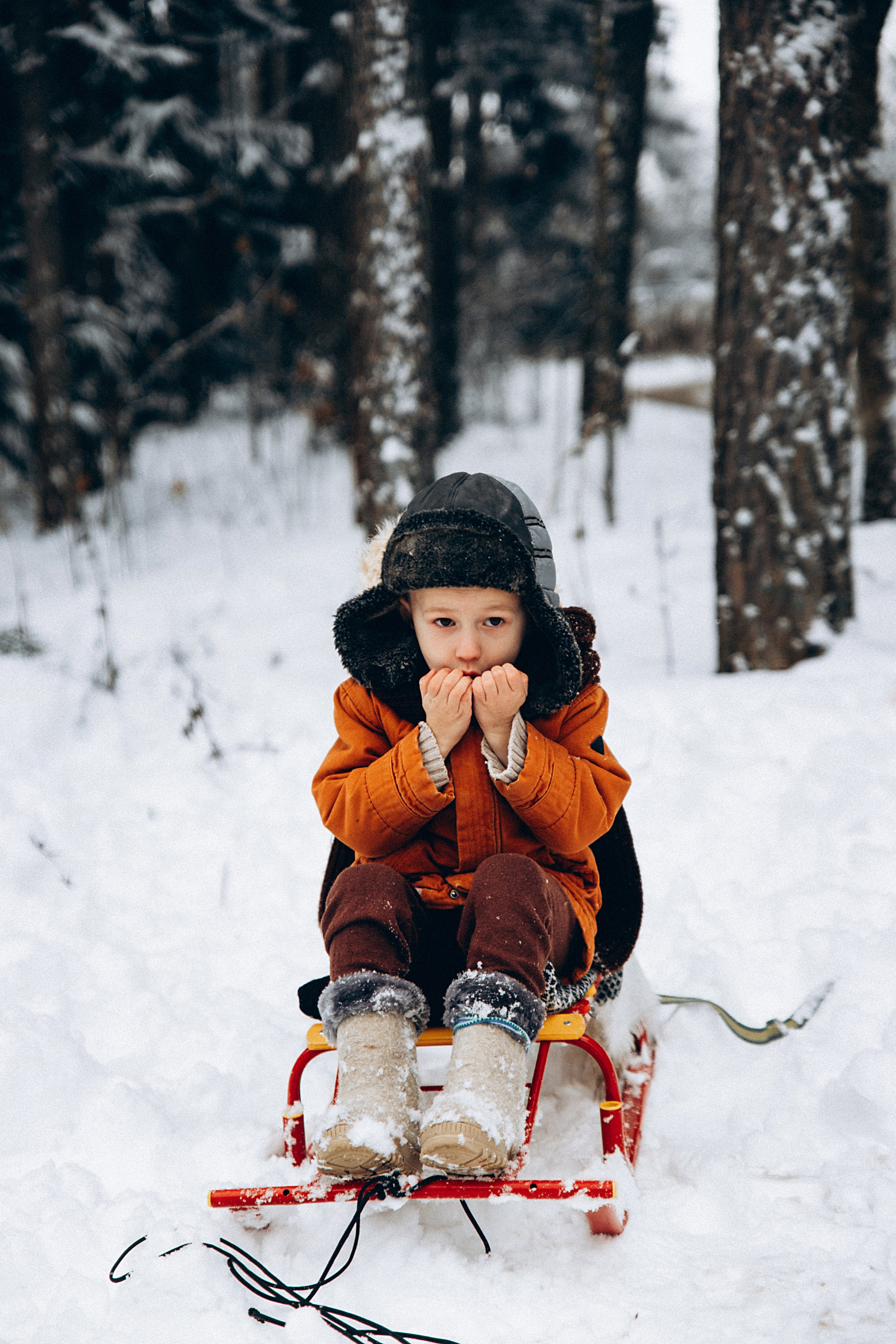 Зимние радости. Репортажный и детский фотограф в Минске
