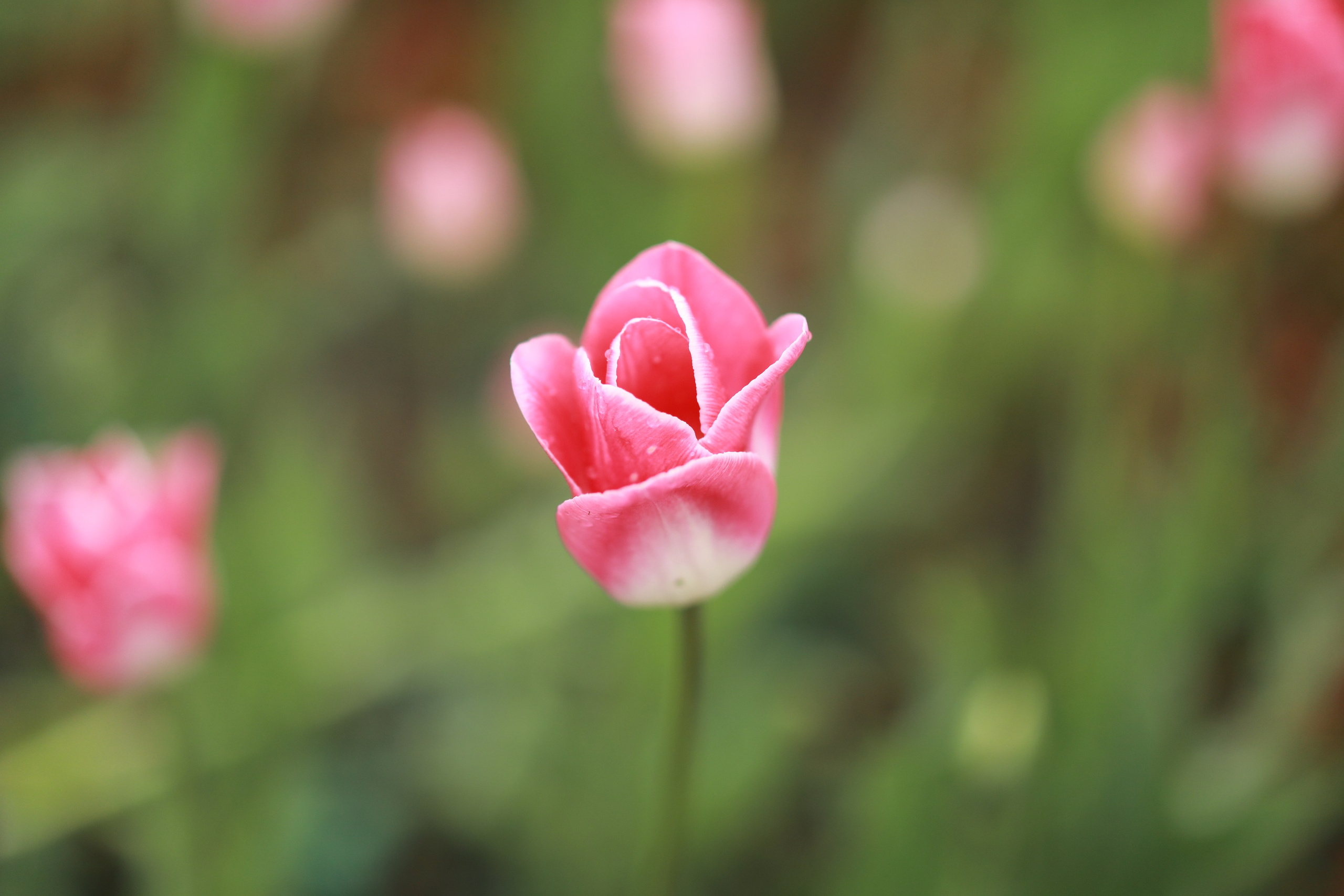 Про жизнь. Фотограф Сергей Ловкий