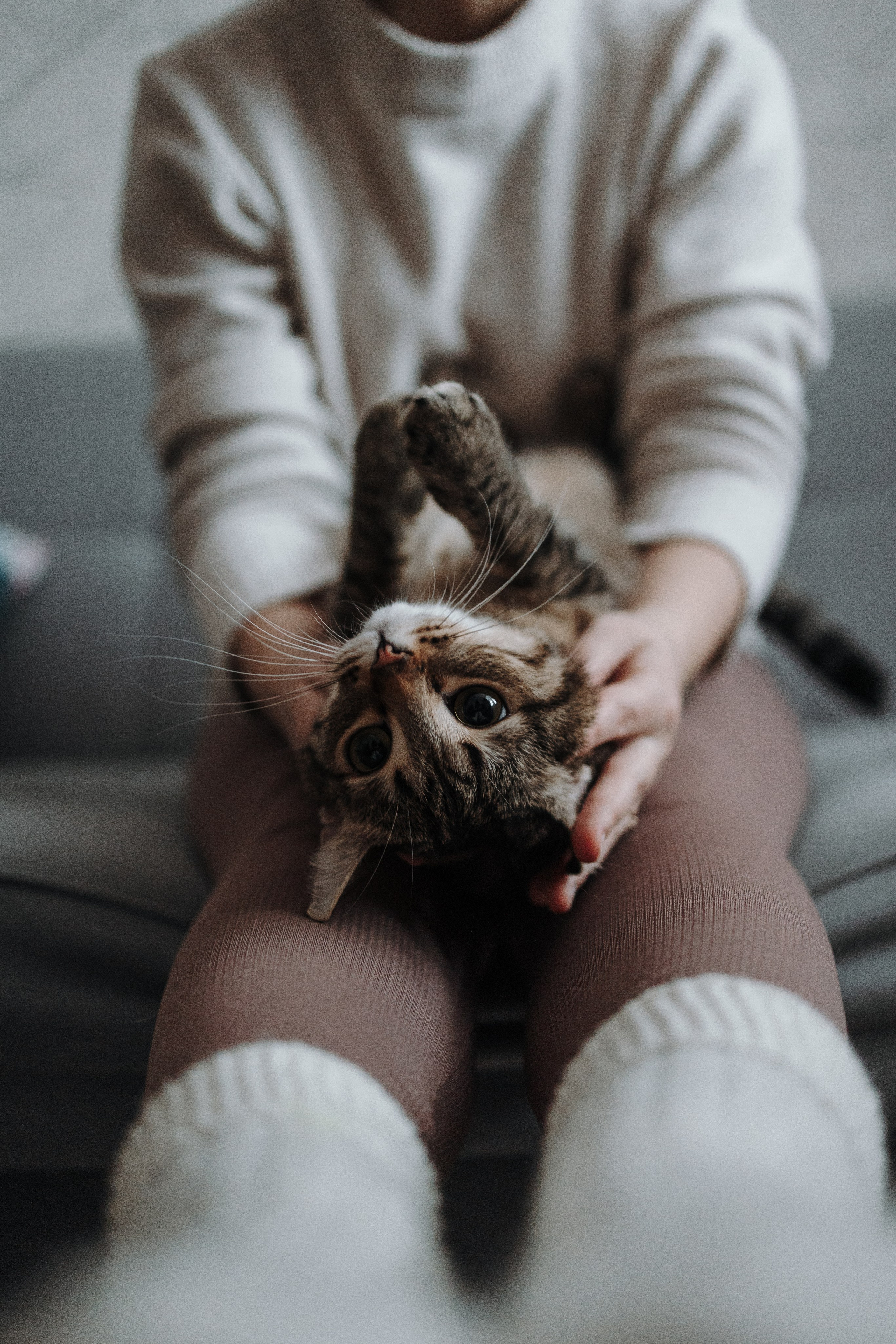 Мася и ее семья. Фотограф — Анималист | Санкт-Петербург