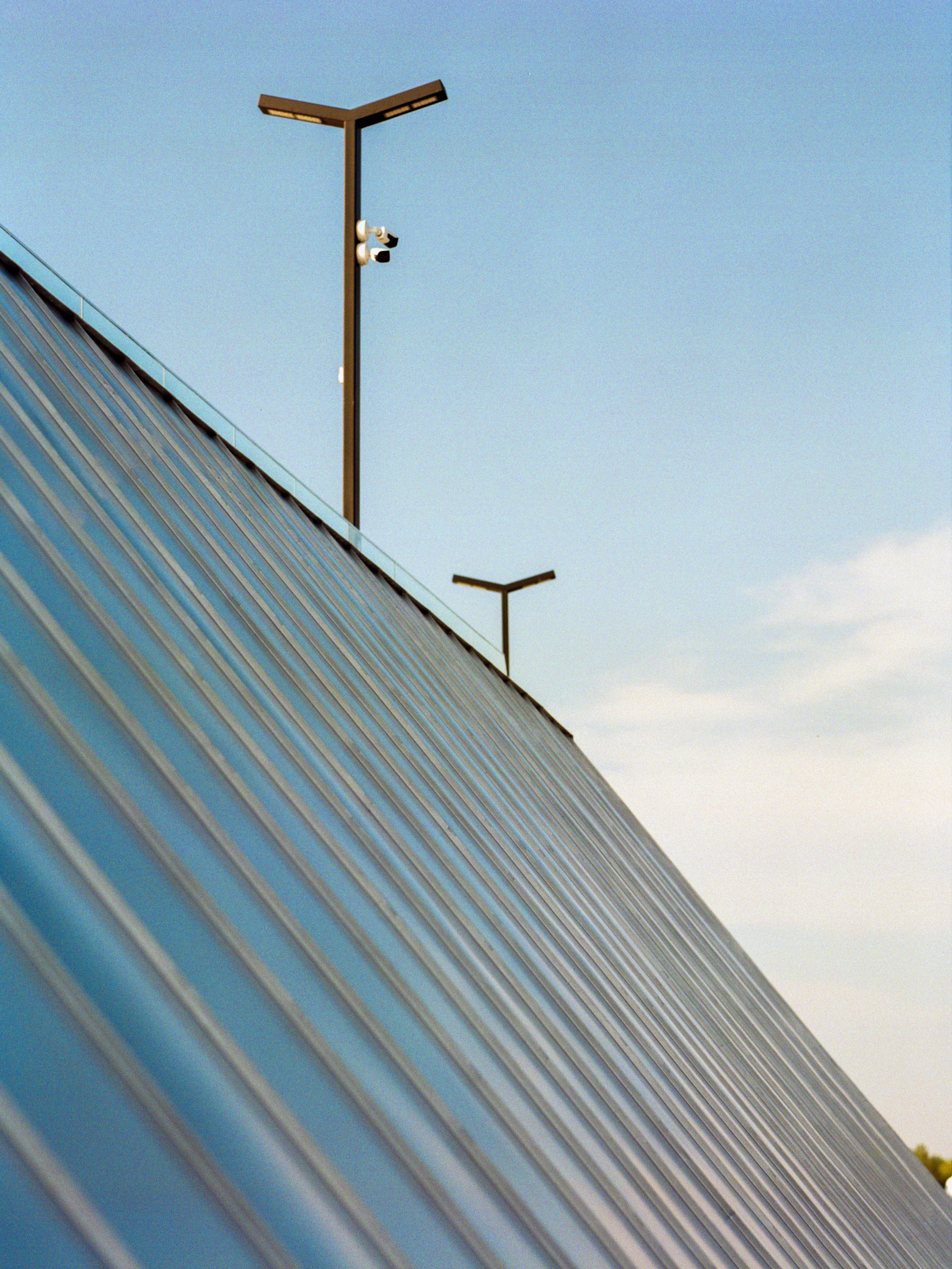 Плёночная весна 2025. Илья Михачёв Фотограф ПРО людей