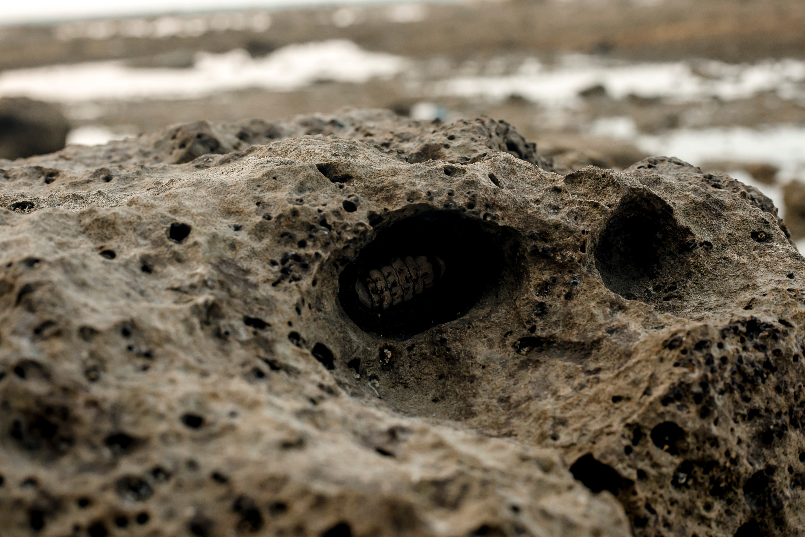 Andaman Islands, Part2. Art Photographer