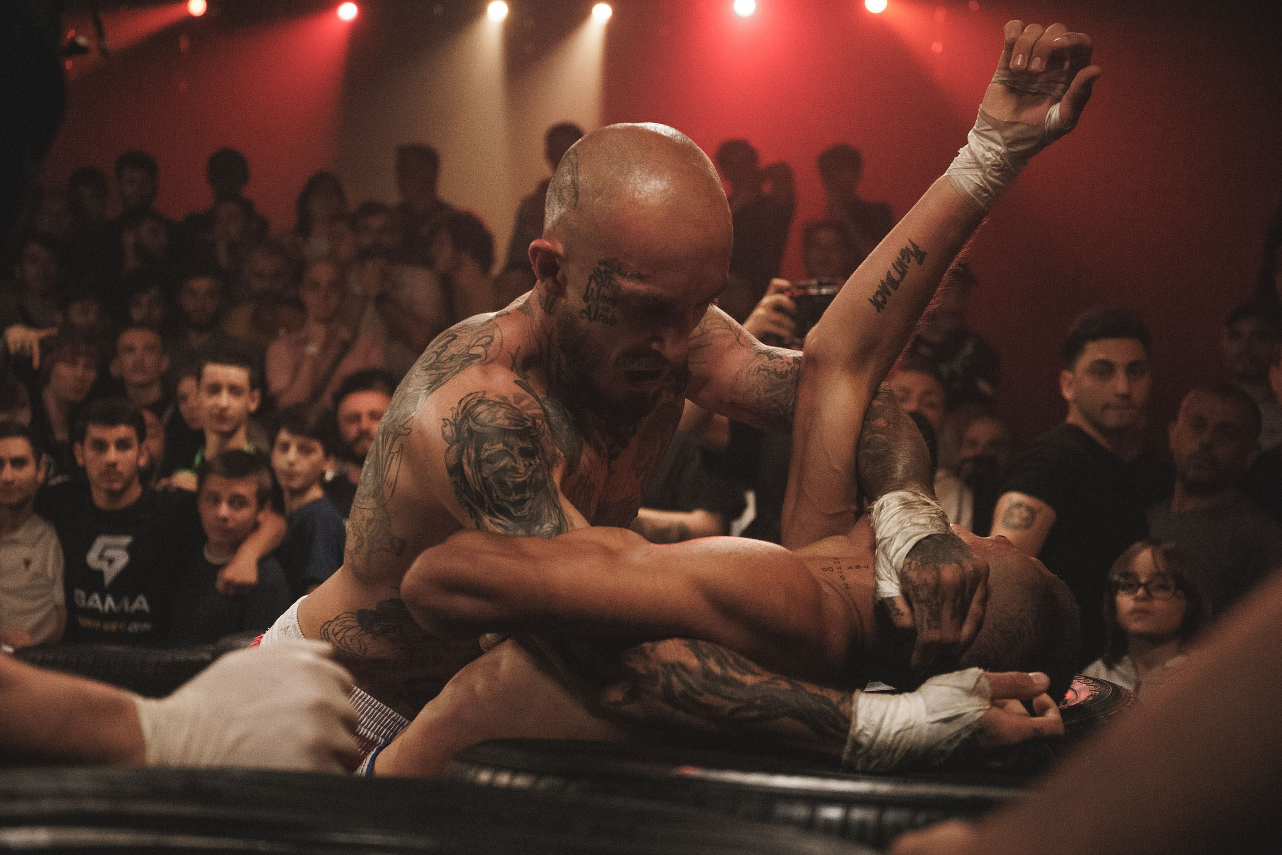 Fights // Social. Bivol images