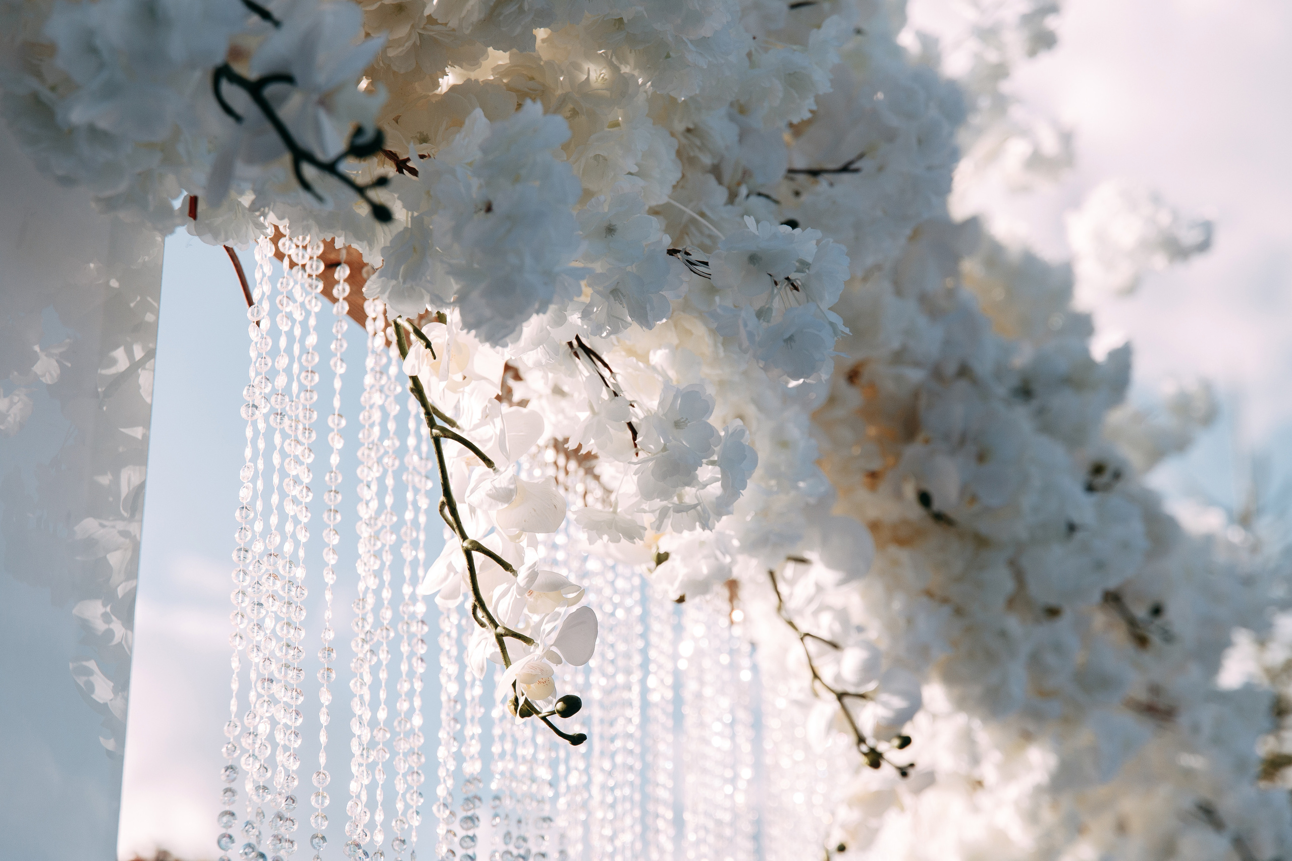 Александр и Анастасия. Фотограф в Хабаровске Швендых Рудольф