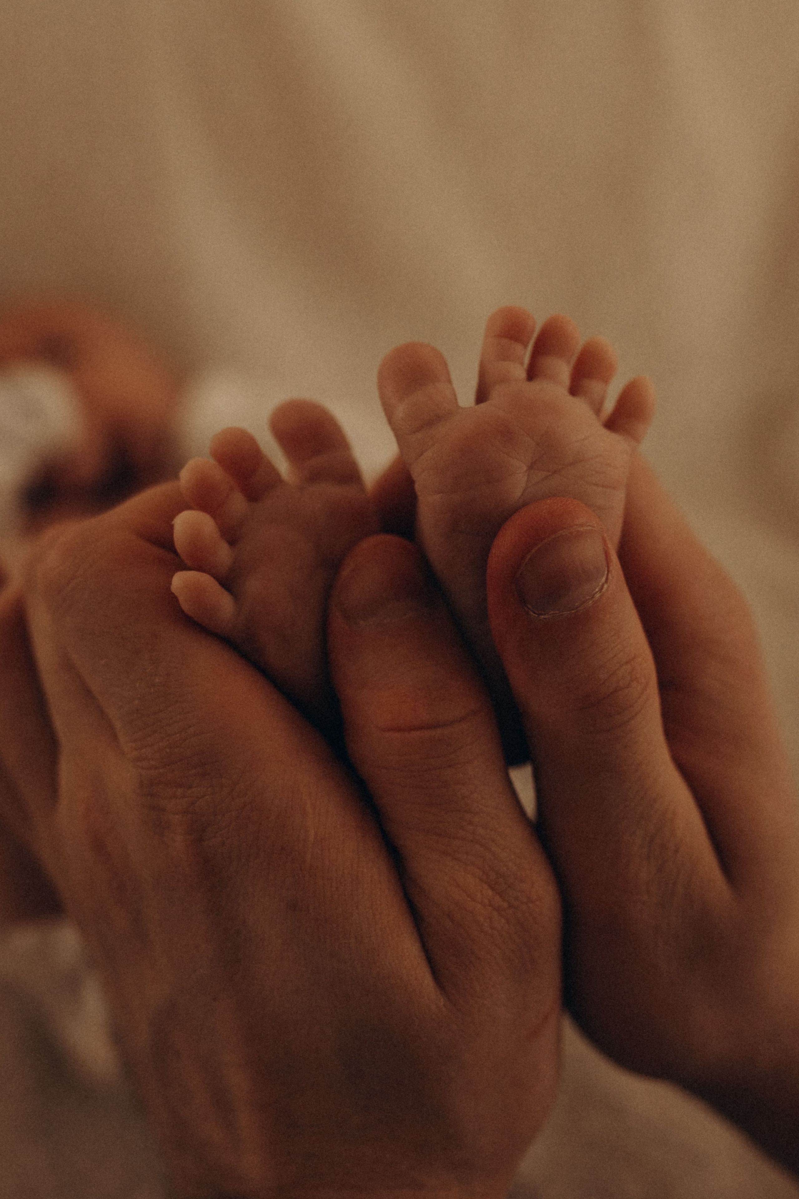 Анонс. Фотограф в Ставрополе Svetlana Matveeva