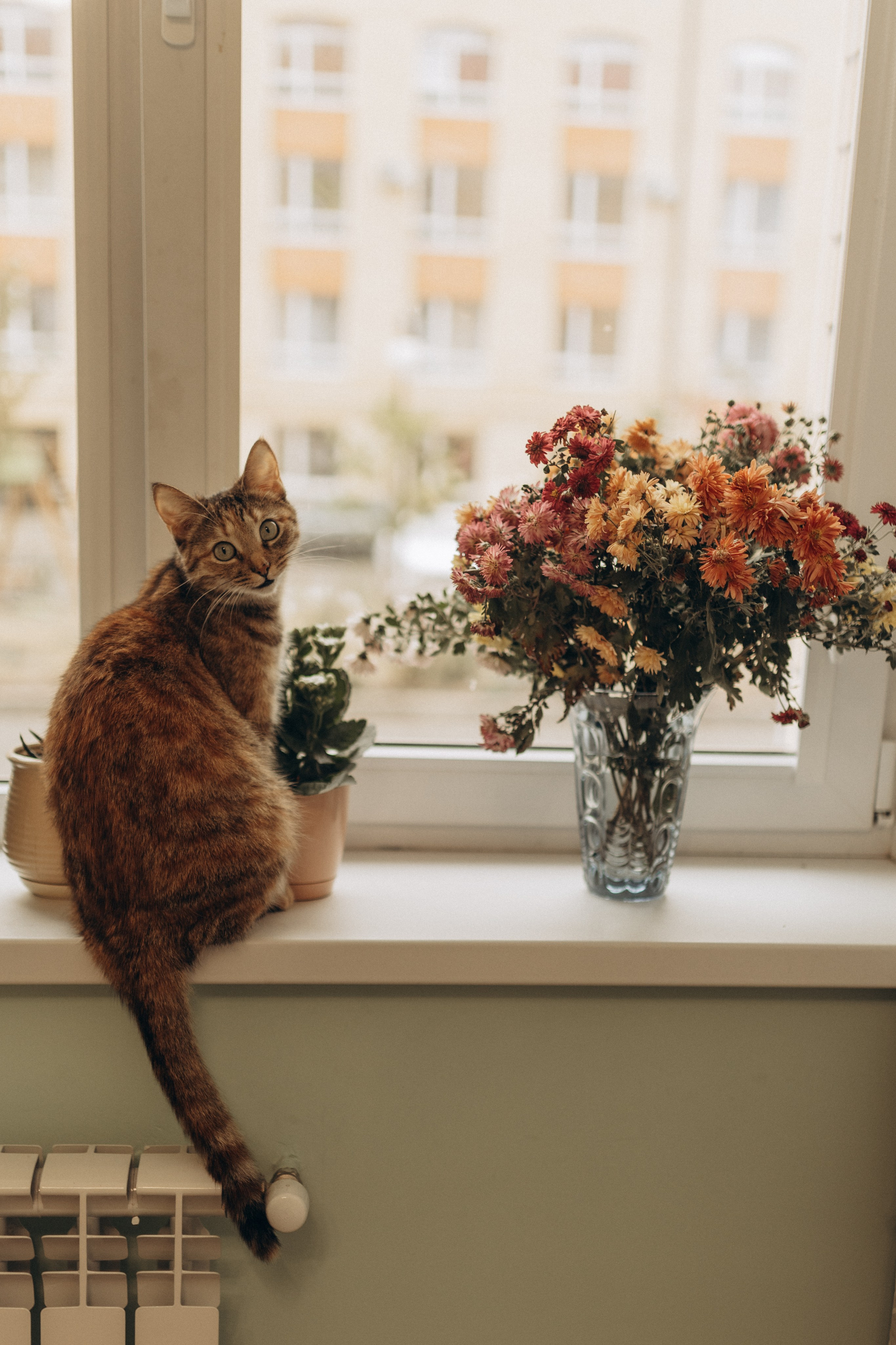 Домашняя фотосессия Анастасии и Вероники лайфстаил. Фотограф в Ставрополе Svetlana Matveeva