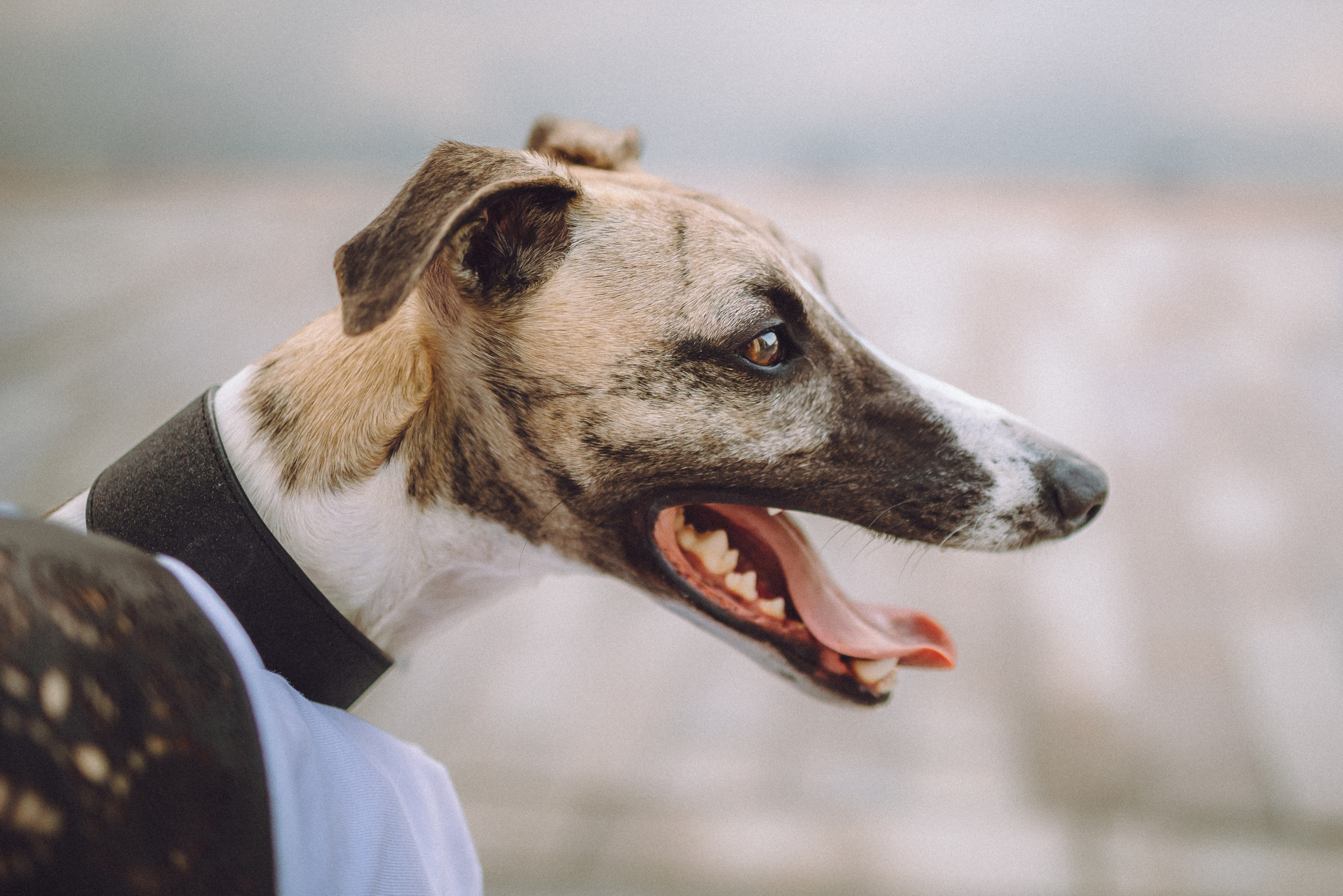 Ирина, Илья и Рик