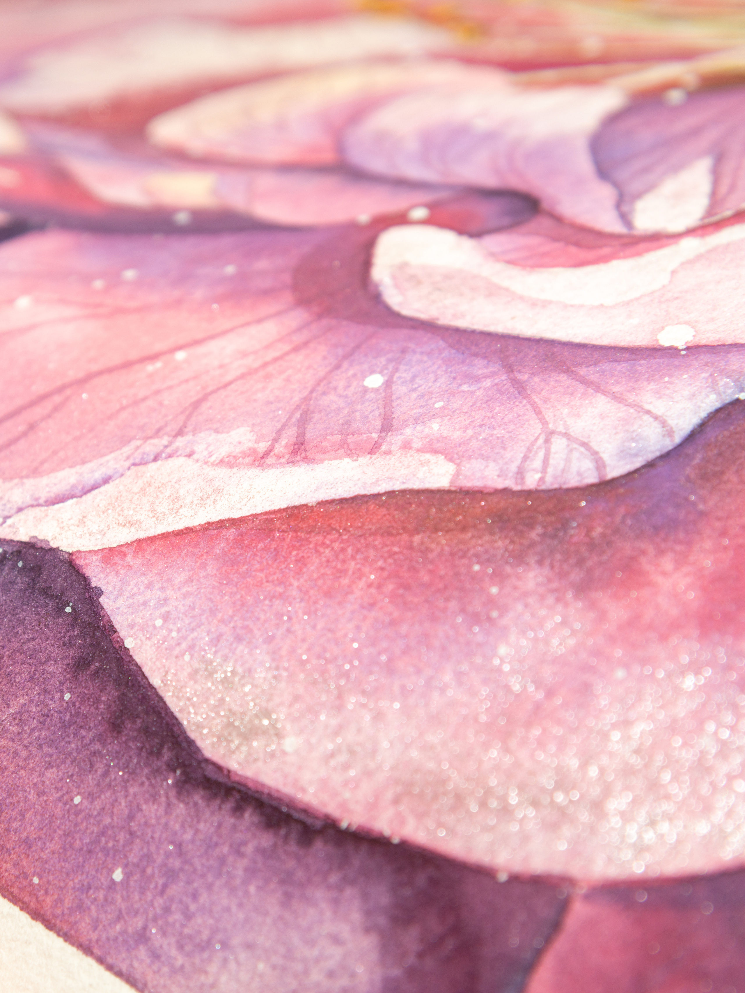 Розовая сакура. ФотоКисточка. Акварель. Арт-галерея картин Анастасии Дерий