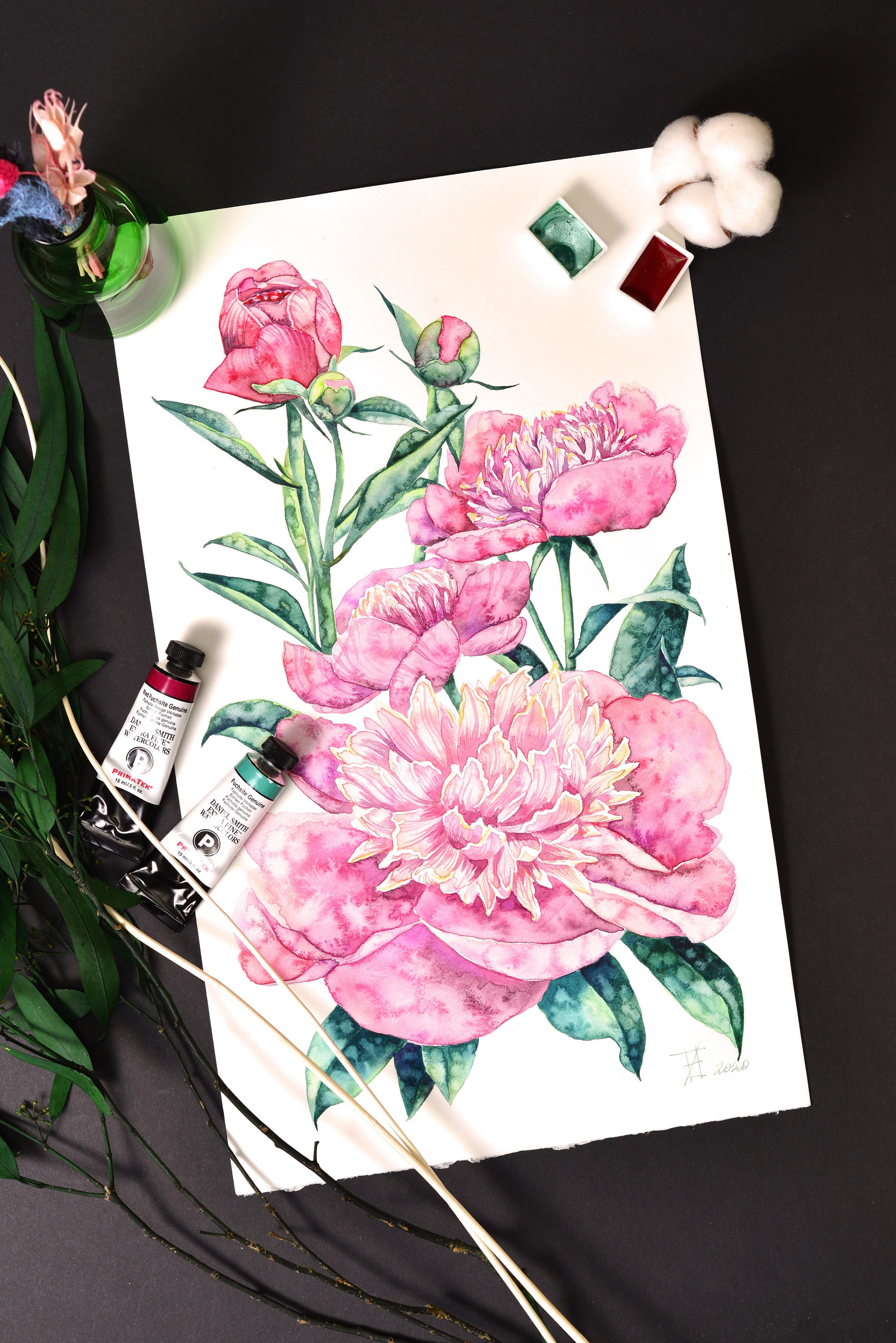 Розовые пионы. ФотоКисточка. Акварель. Арт-галерея картин Анастасии Дерий