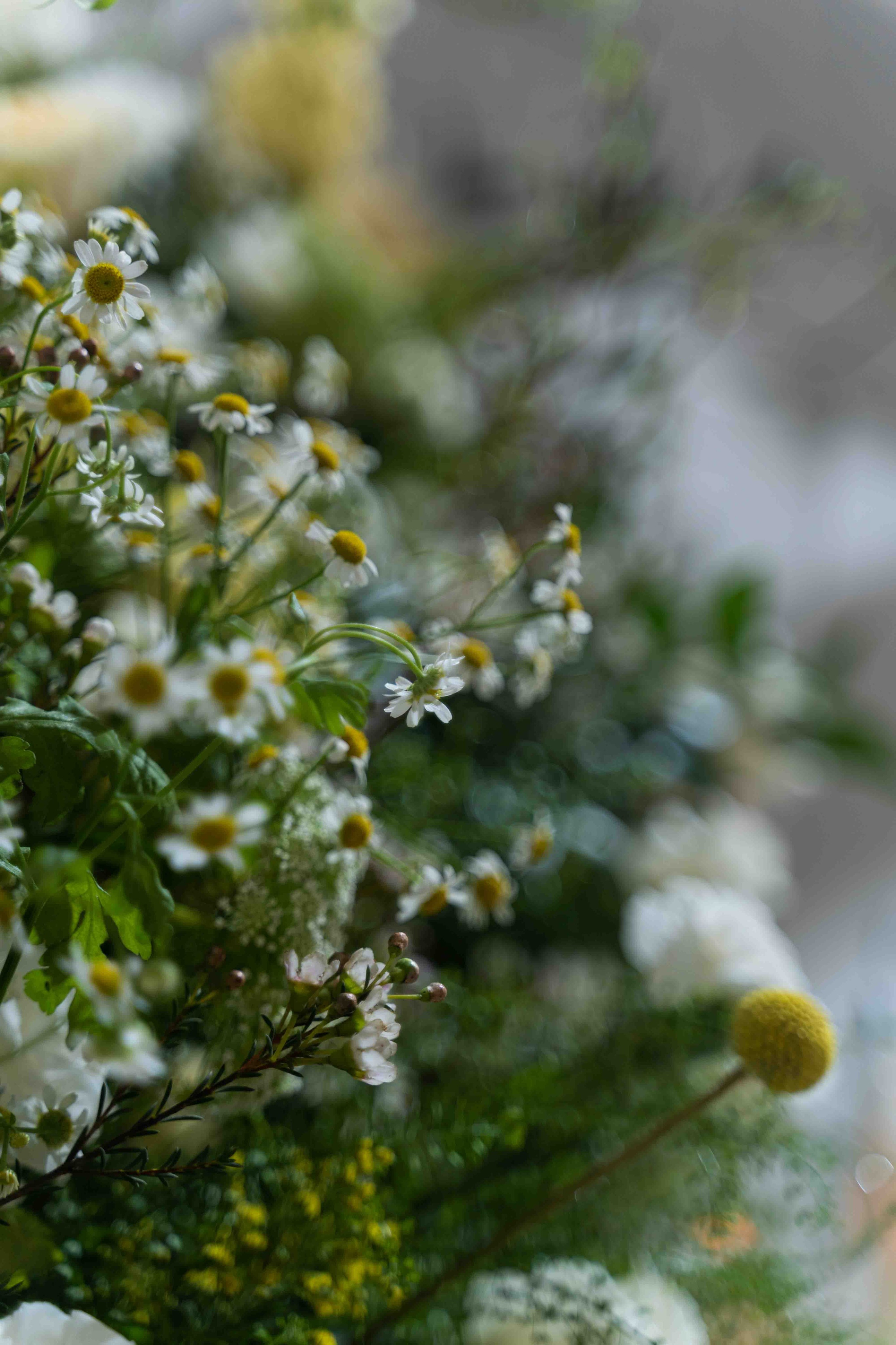 Арабская скромная помолвка дома (приватность на женские лица). Фотограф и видеограф в Москве и Абу Даби Мария Кулагина