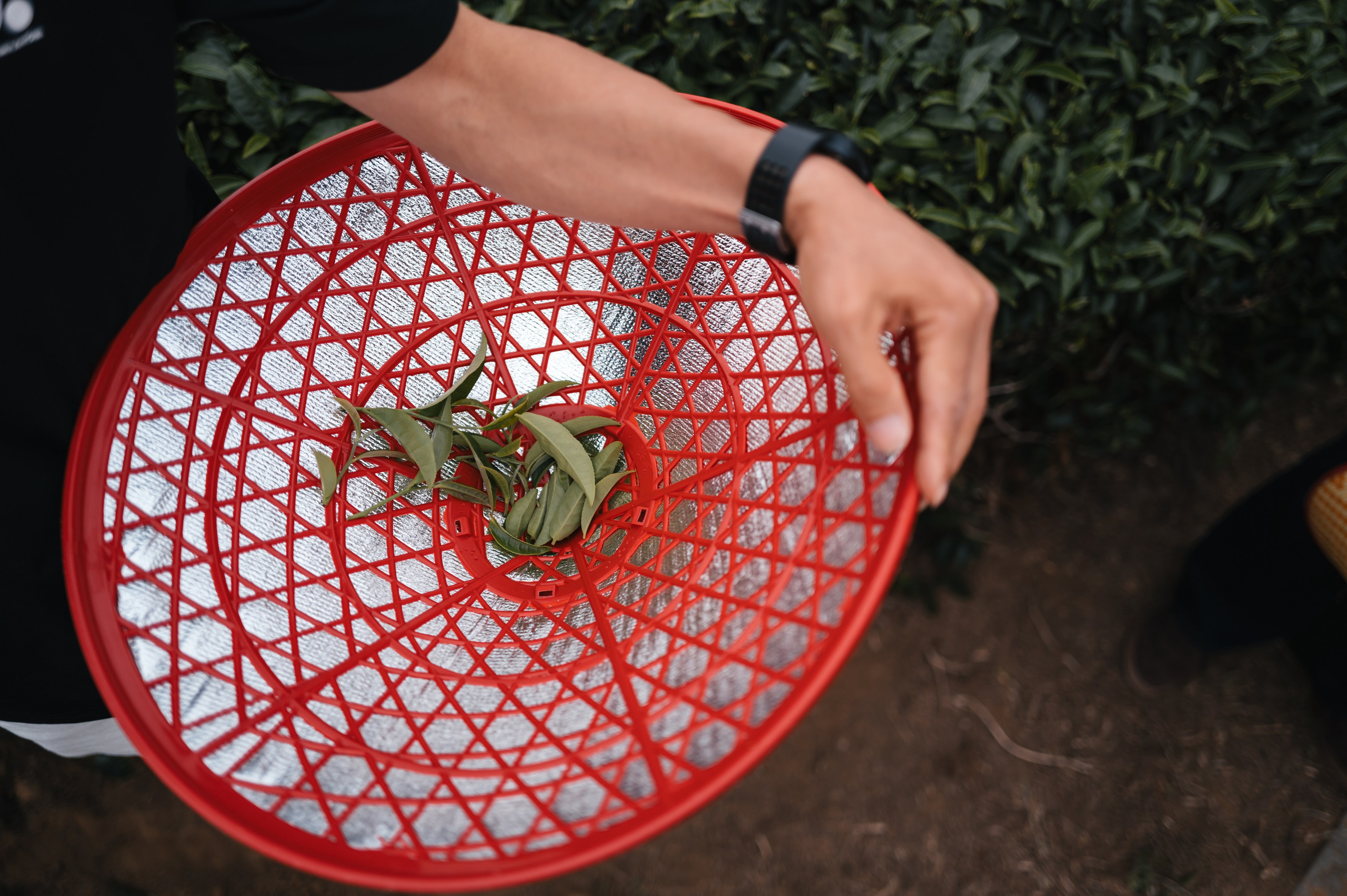 China/Китай. @tomrus: Рустам Шагиморданов — фотограф