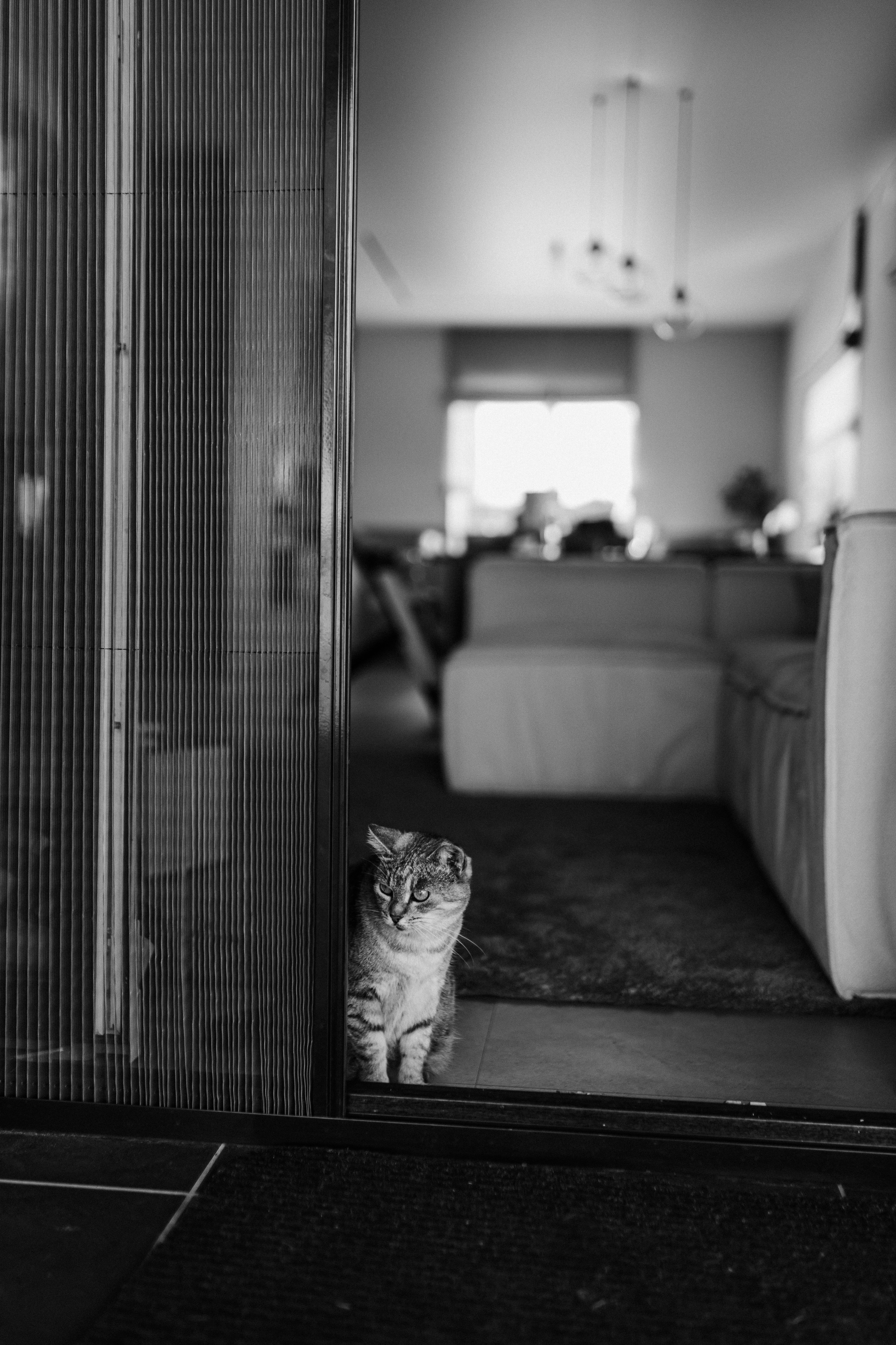 Максику 1 годик, отмечаем дома