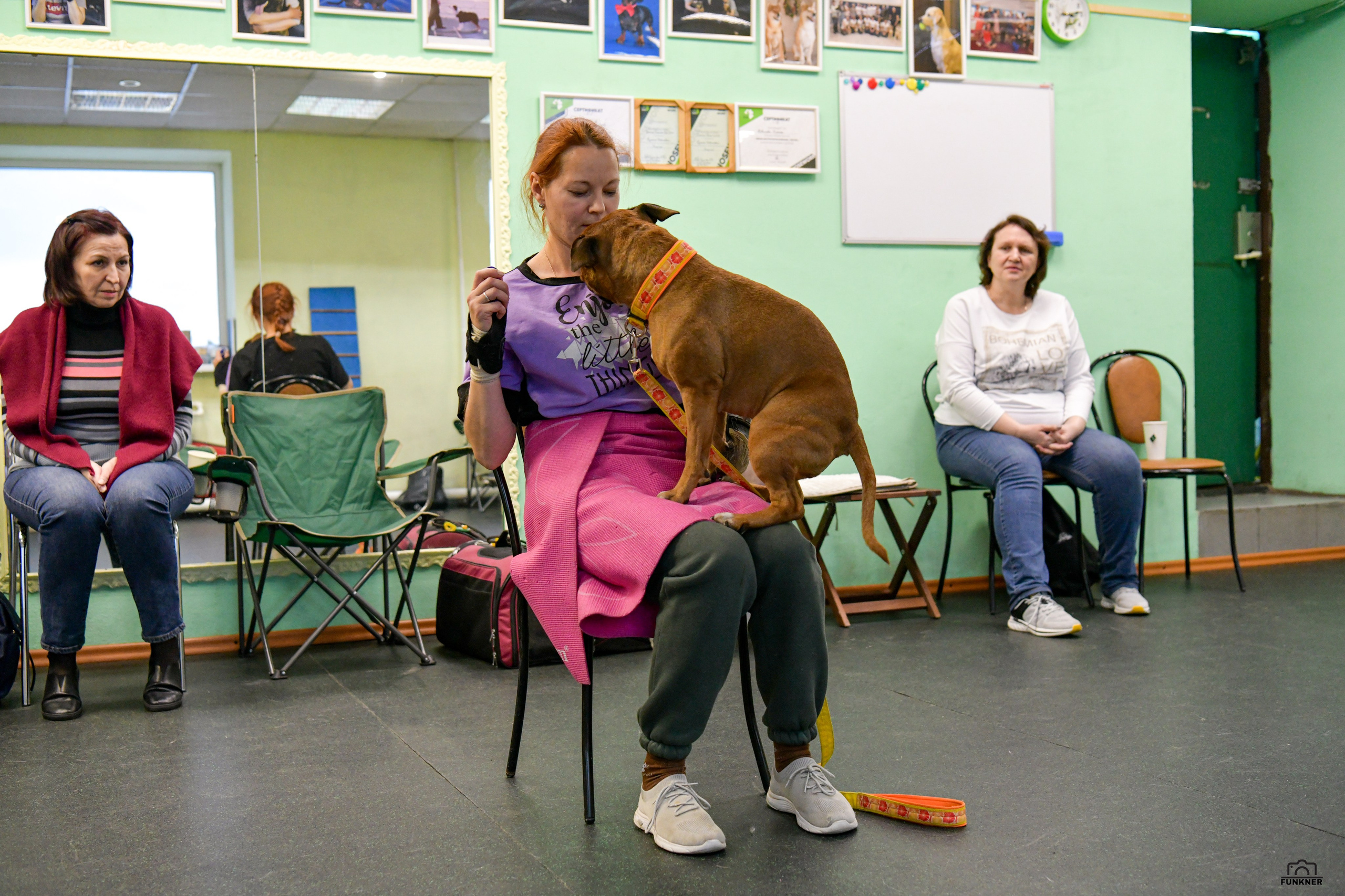 Кинологический клуб «Бодрый хвост». Свой взгляд через объектив