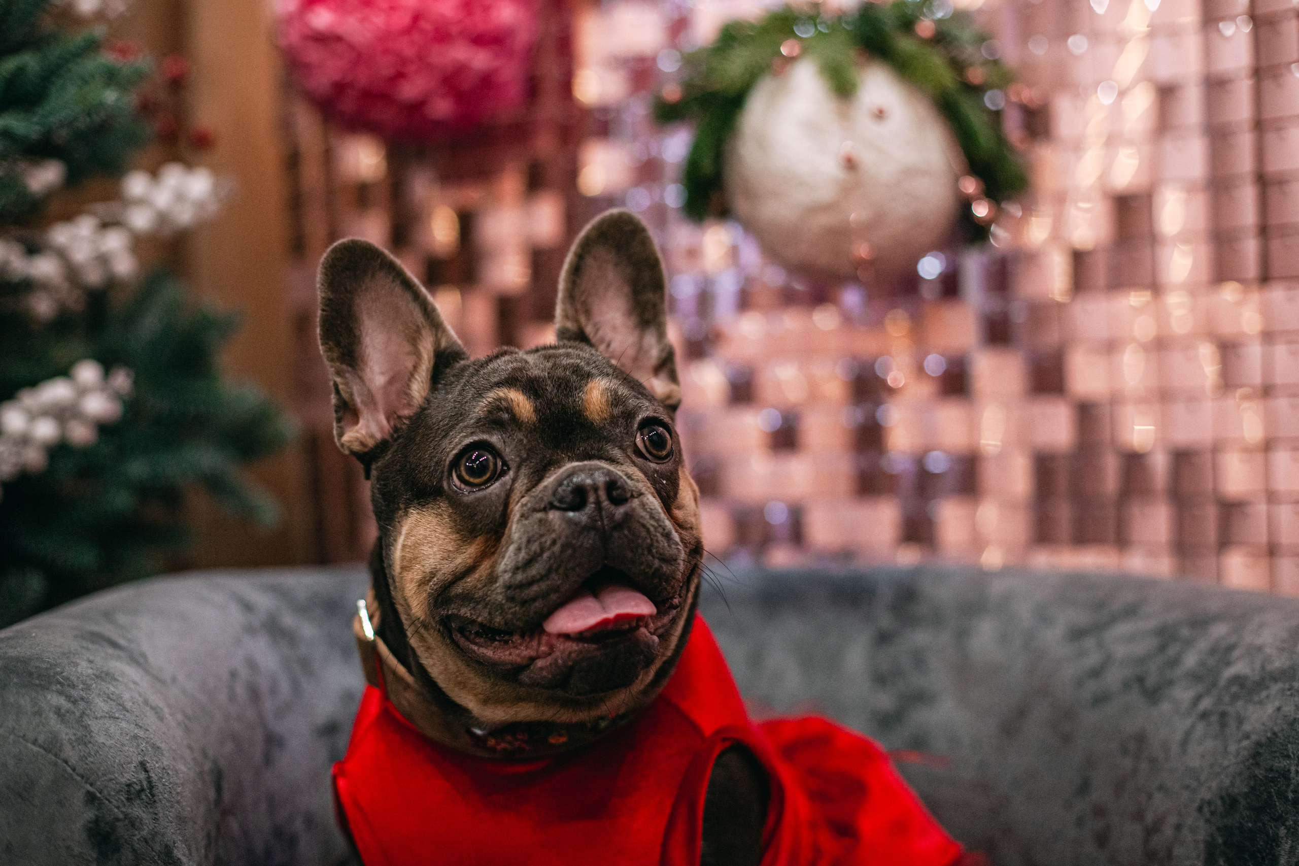 Бульёлка 2024. Фотограф-анималист Татьяна Степанова