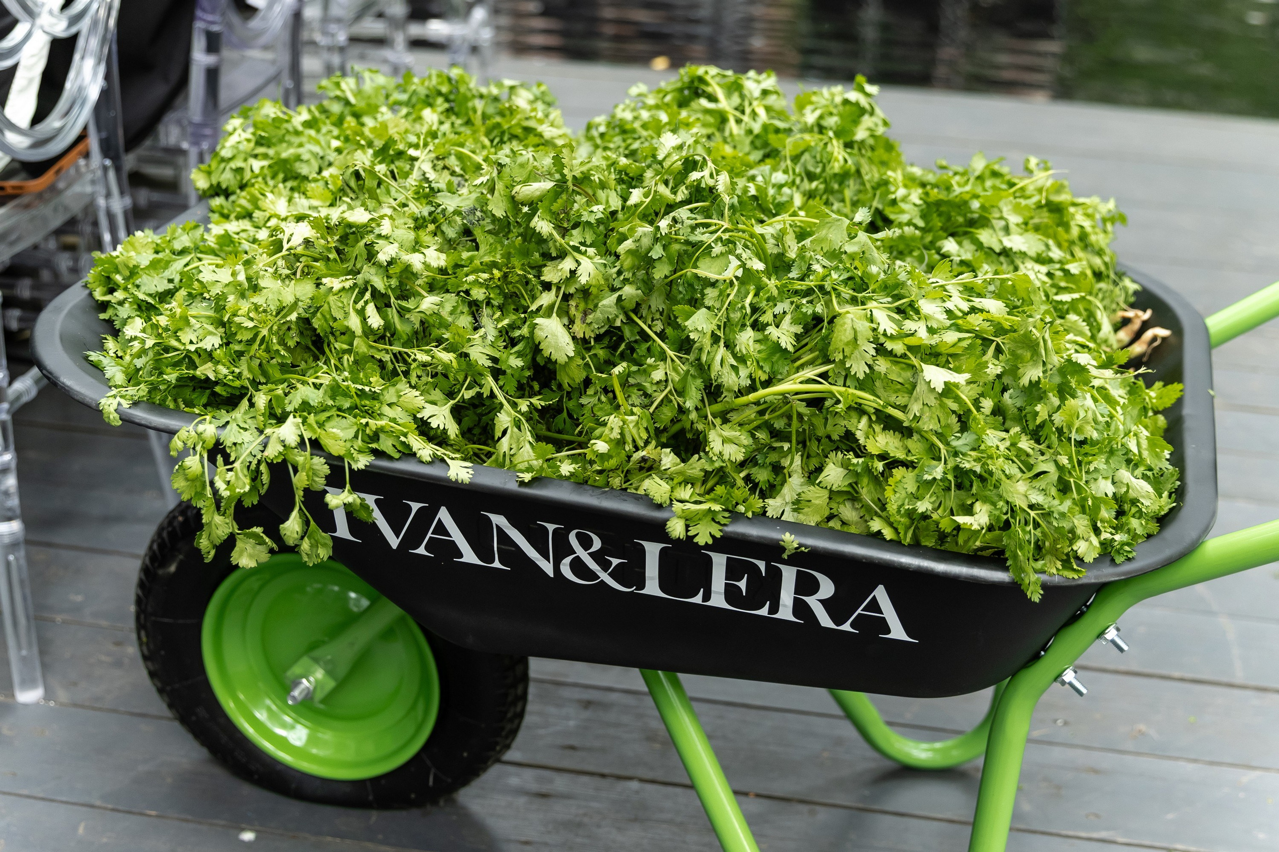 Валерия и Иван. Татьяна Чернышова свадебный фотограф Москва