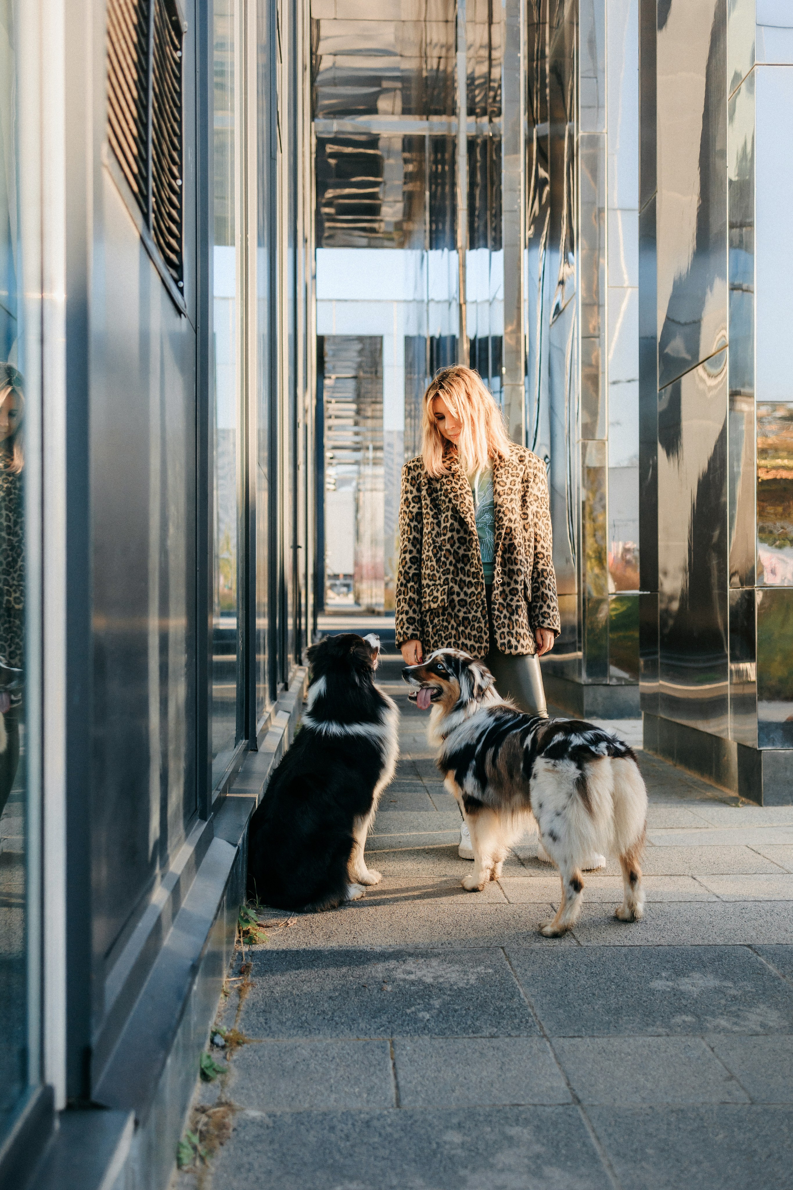 Аня, Чарли и Ева. Фотограф-анималист Елена Радченко, Москва