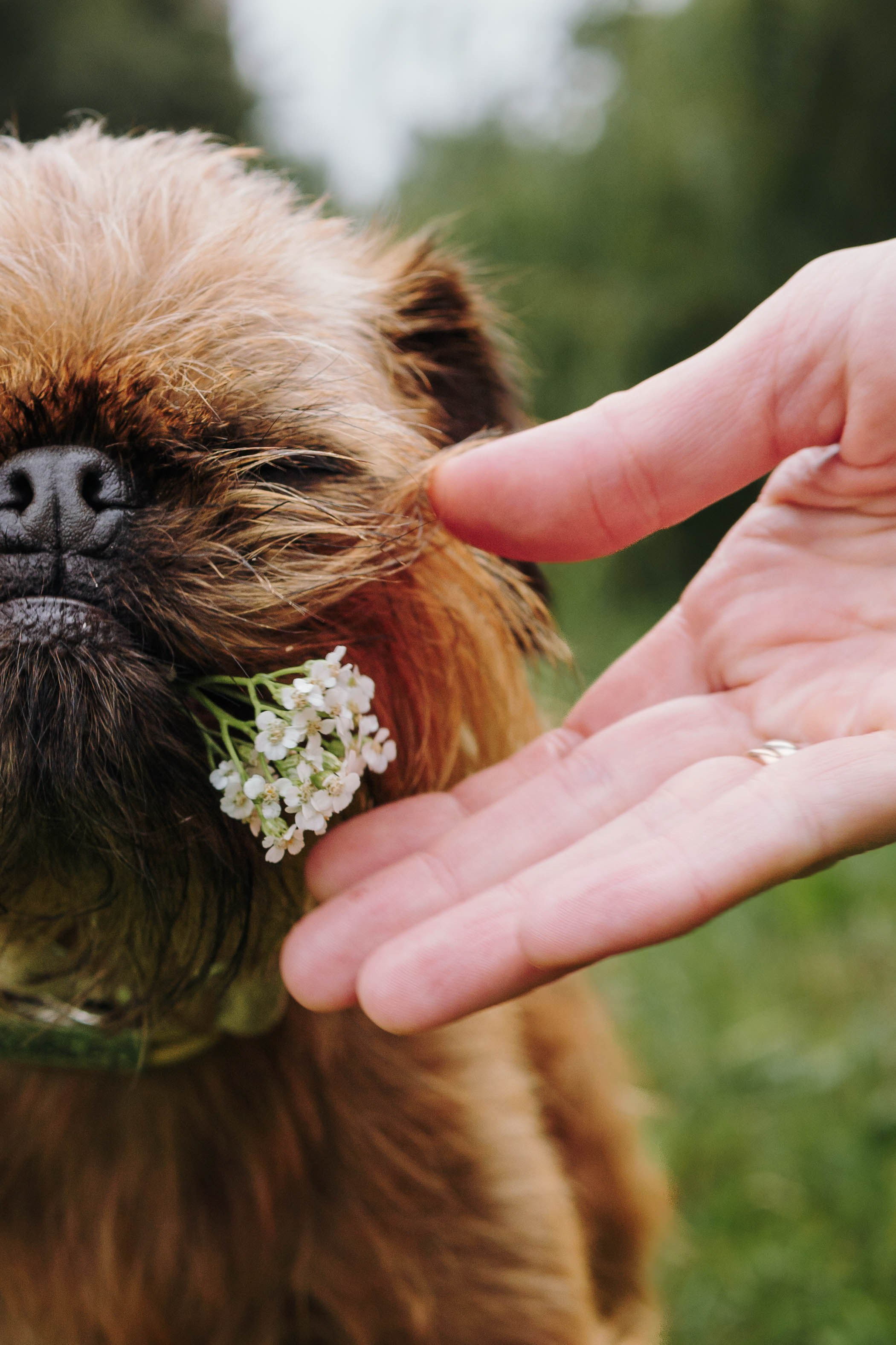 Наташа, Сережа и Хавьер. Фотограф-анималист Ксения Воробьева, Москва