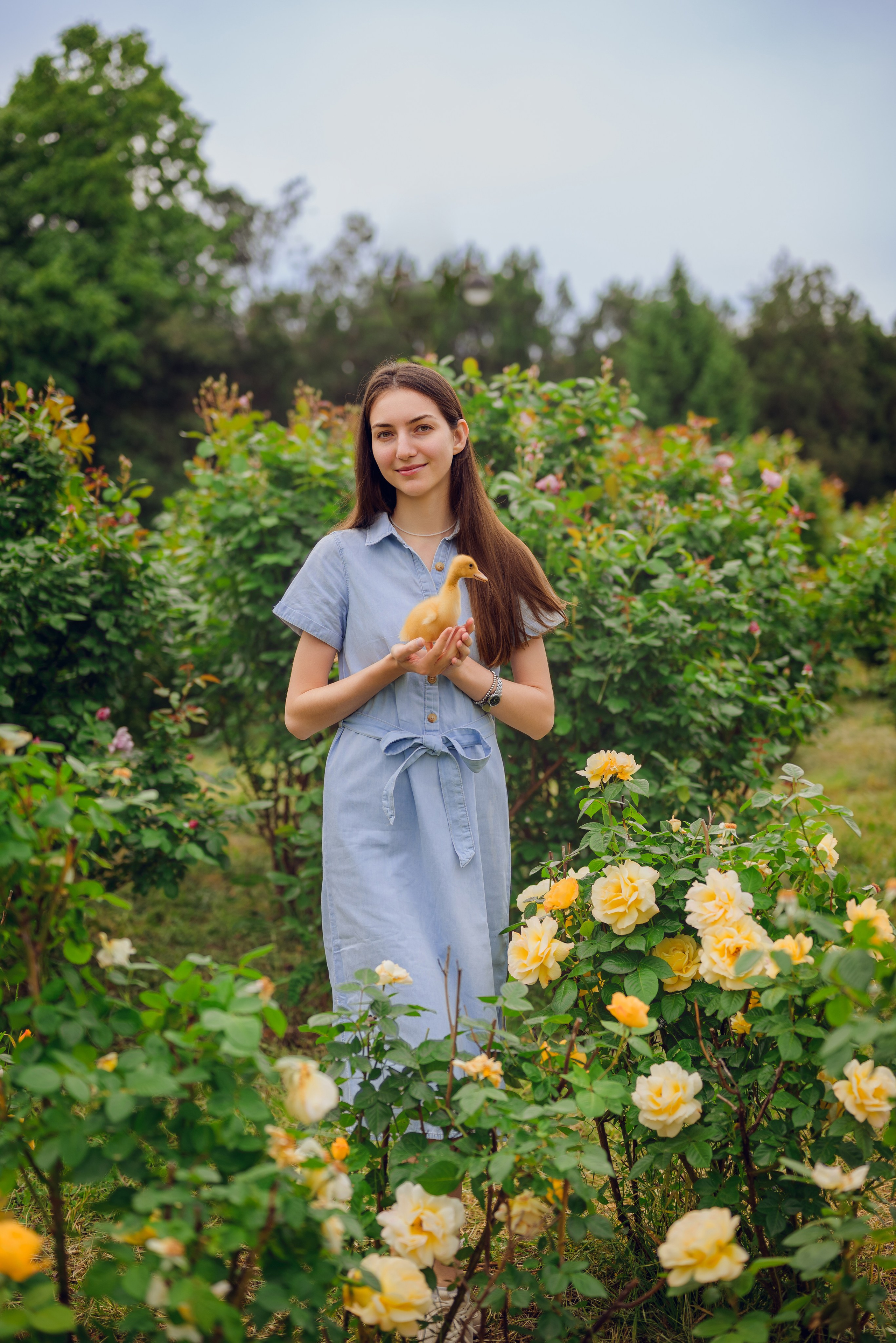 В розах. Семейный фотограф в Краснодаре