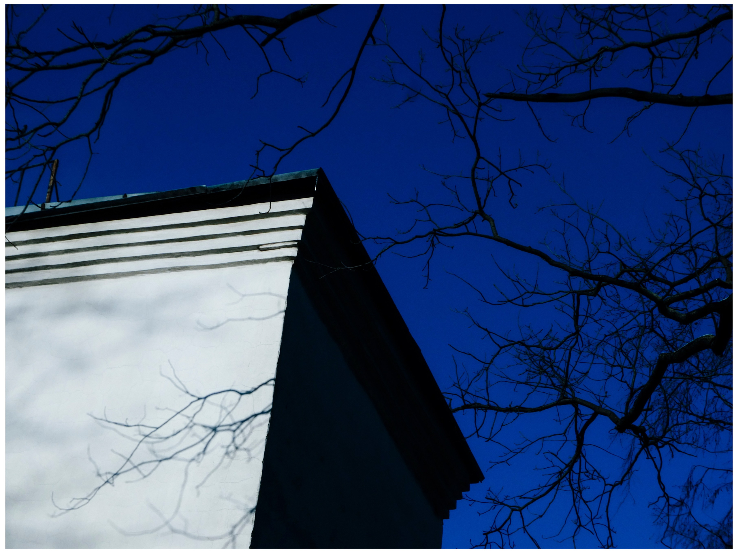 Шмитов Егор