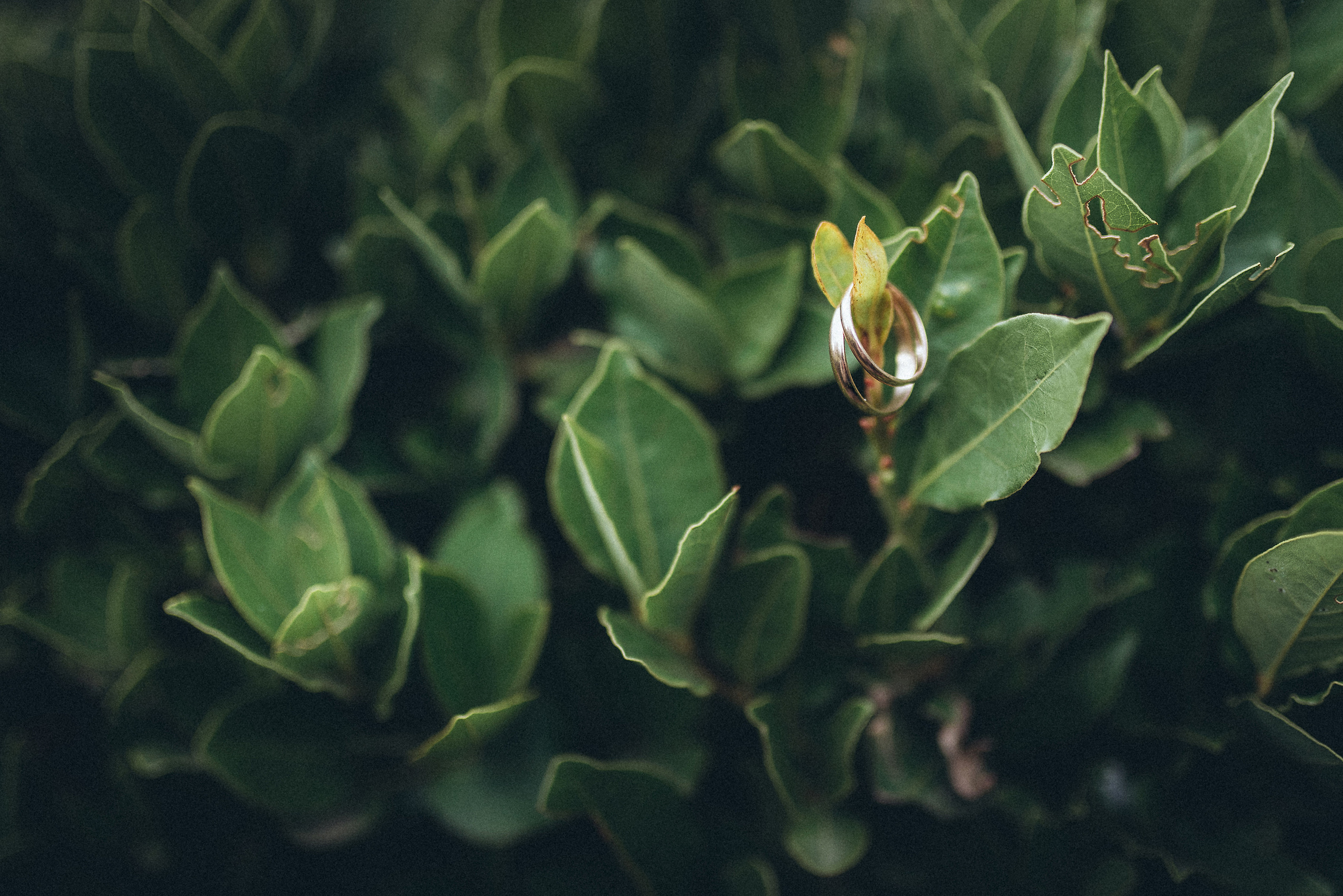Свадьба ребят из Москвы. Фотограф в Севастополе и Крыму Горбунов Денис