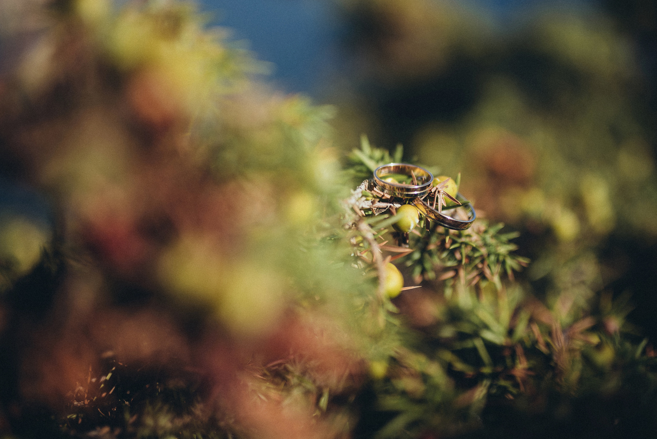 Елизавета и Николай. Fotograf in Sewastopol, Krim und Moskau Gorbunov Denis
