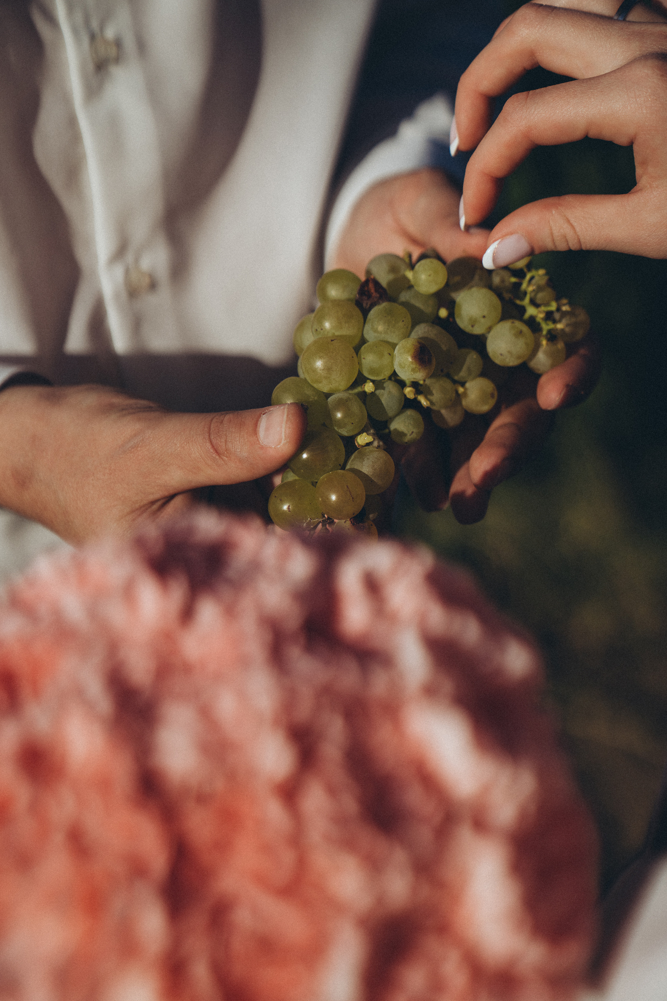 Елизавета и Николай. Fotograf in Sewastopol, Krim und Moskau Gorbunov Denis
