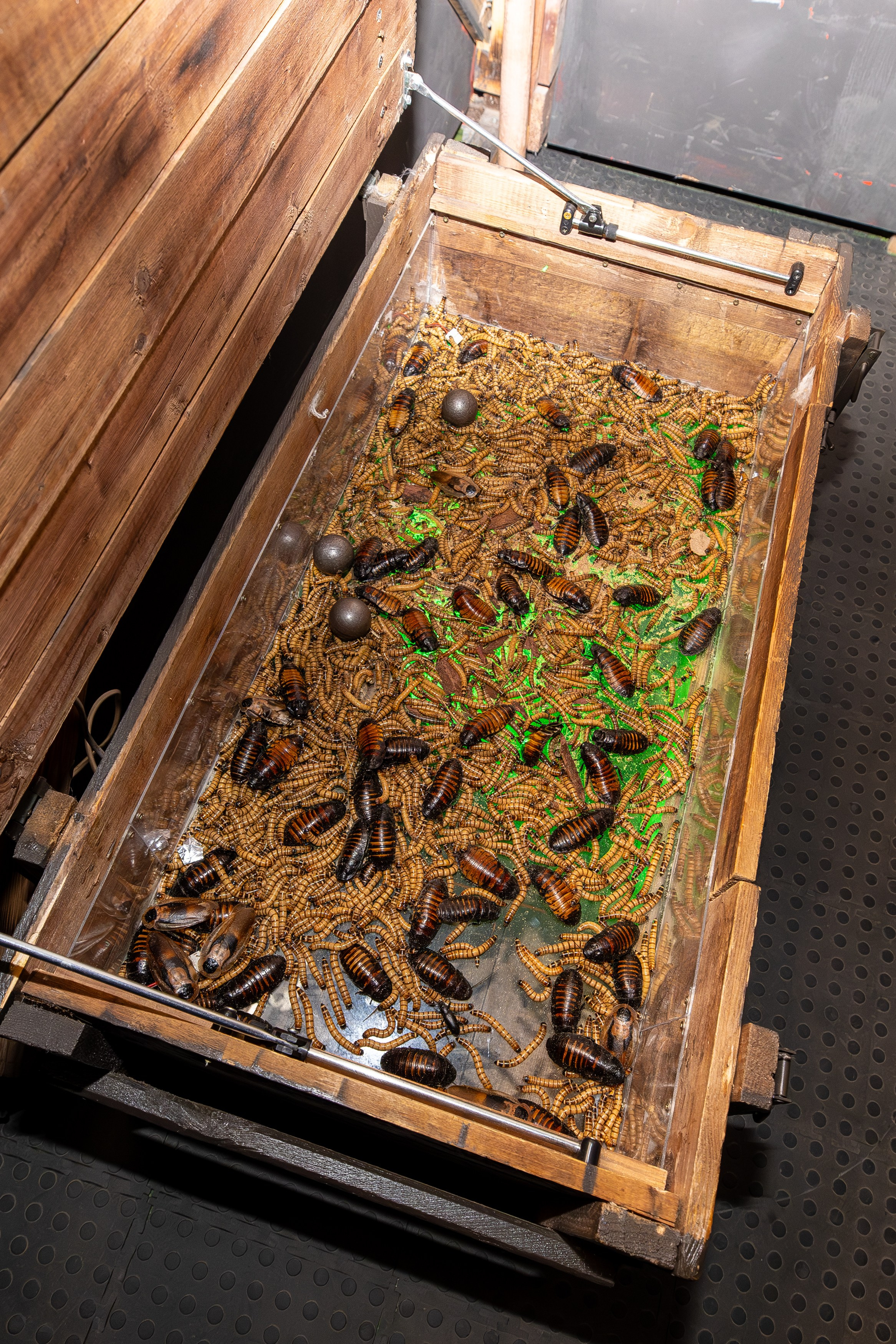 Фото и видео корпоративов. Свадебный, семейный видеограф и фотограф в Екатеринбурге Николай Рыков