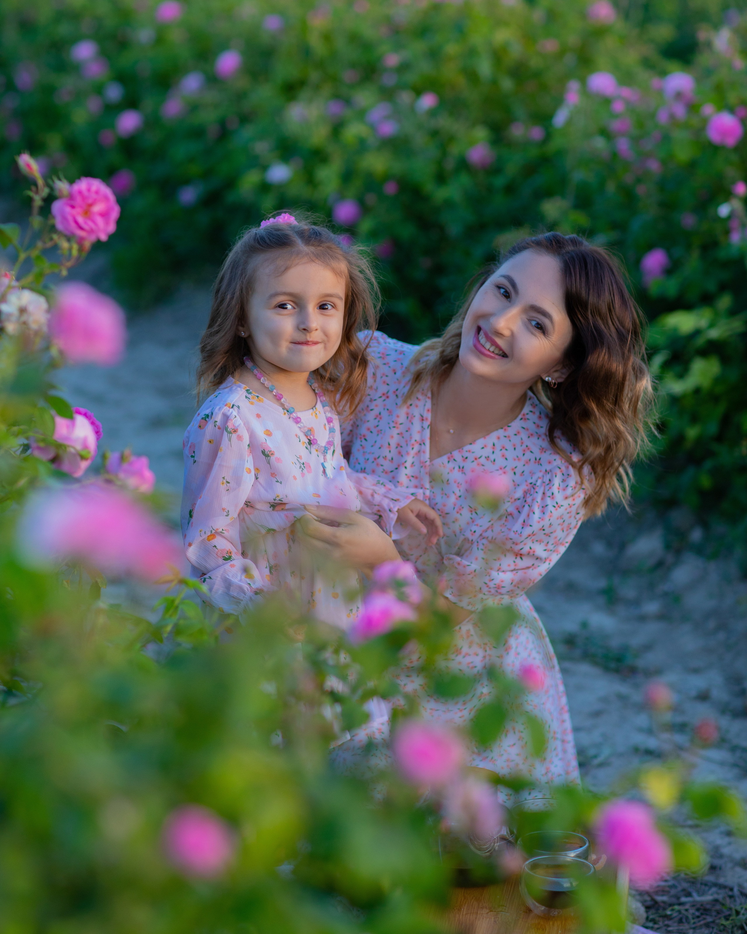 Чайная роза. Фотограф Севастополь/Крым Светлана Евтушенко