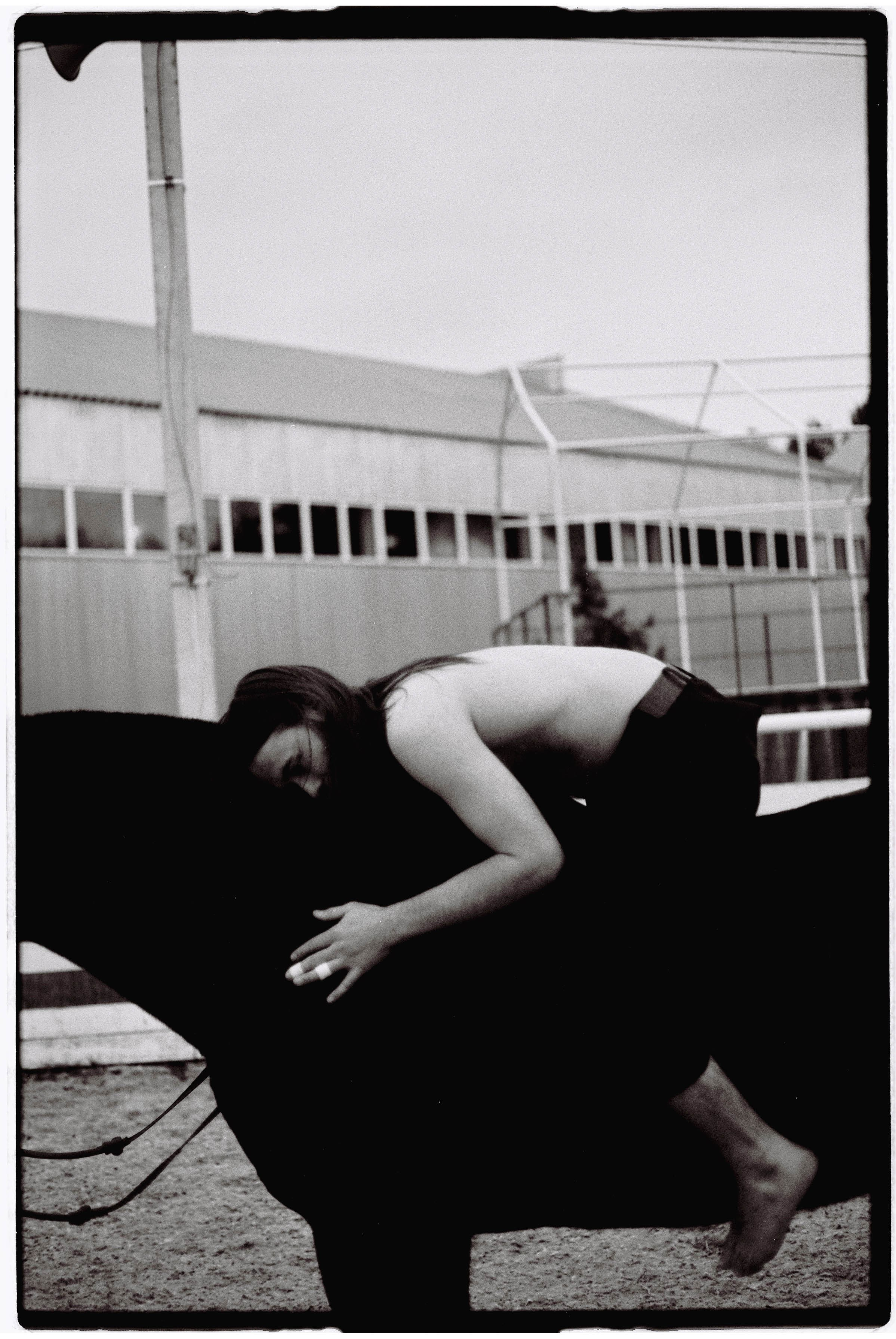 VLADIMIR. MARK DOROHOV