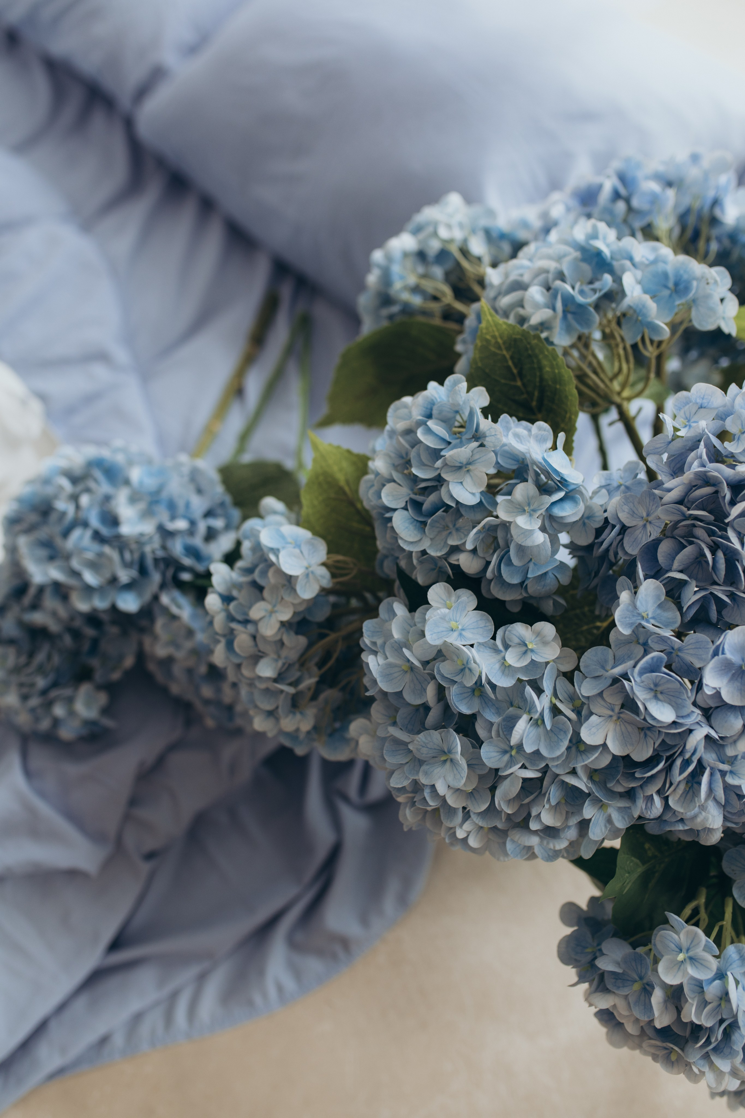 Дарья и Варвара. Свадебный и семейный фотограф в Белгороде Евгения Курочкина