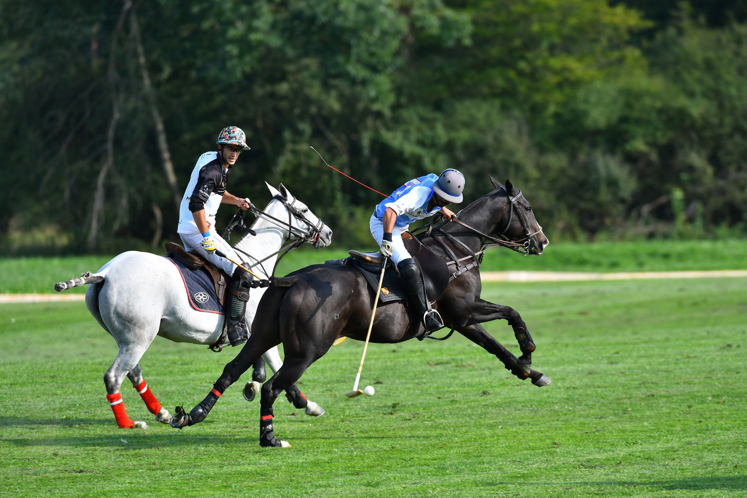 Polo art photos. Art photos of horses — ARTUR BABOEV | Photographer