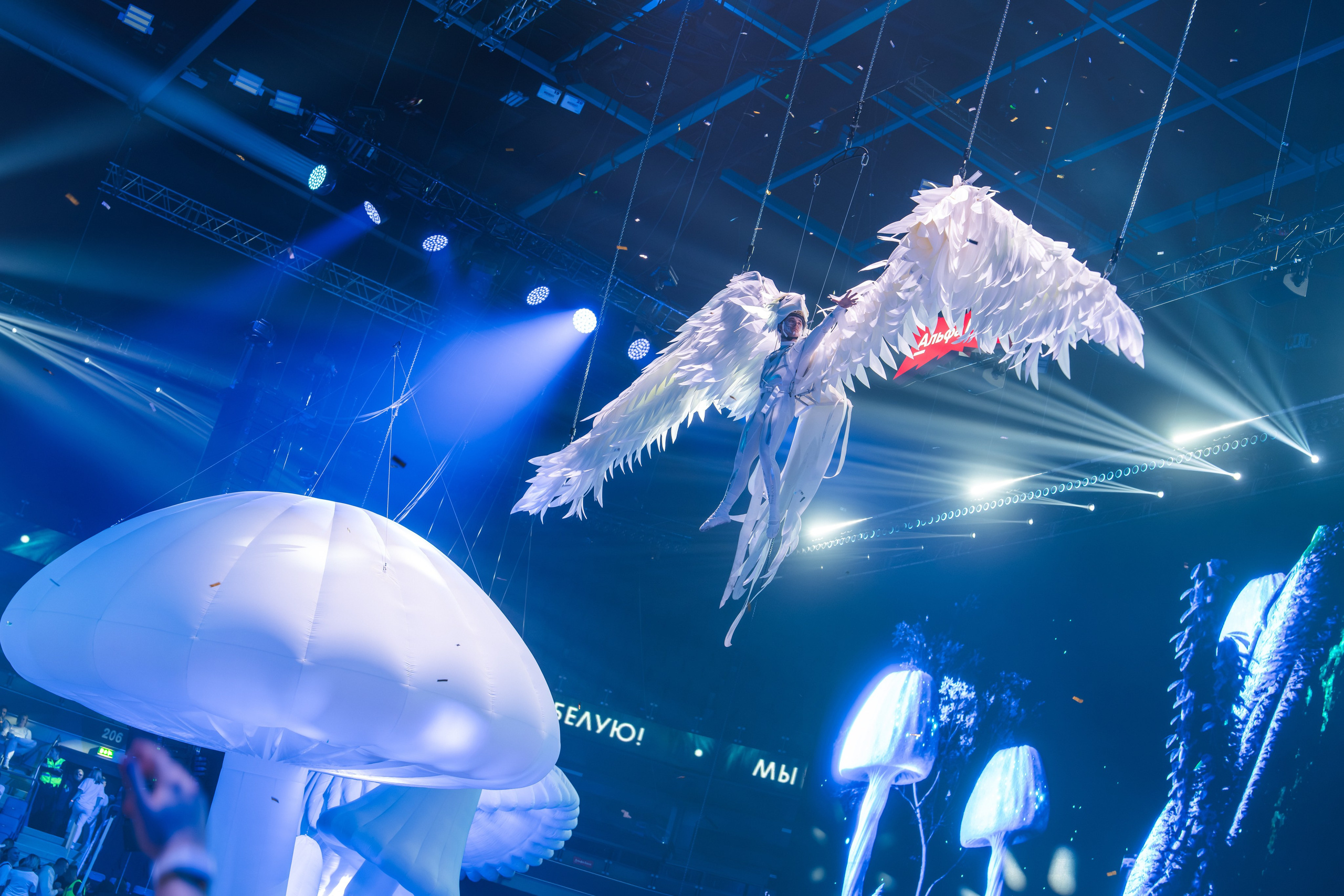 БЕЛАЯ 2025. Святослав Буньков | фотограф