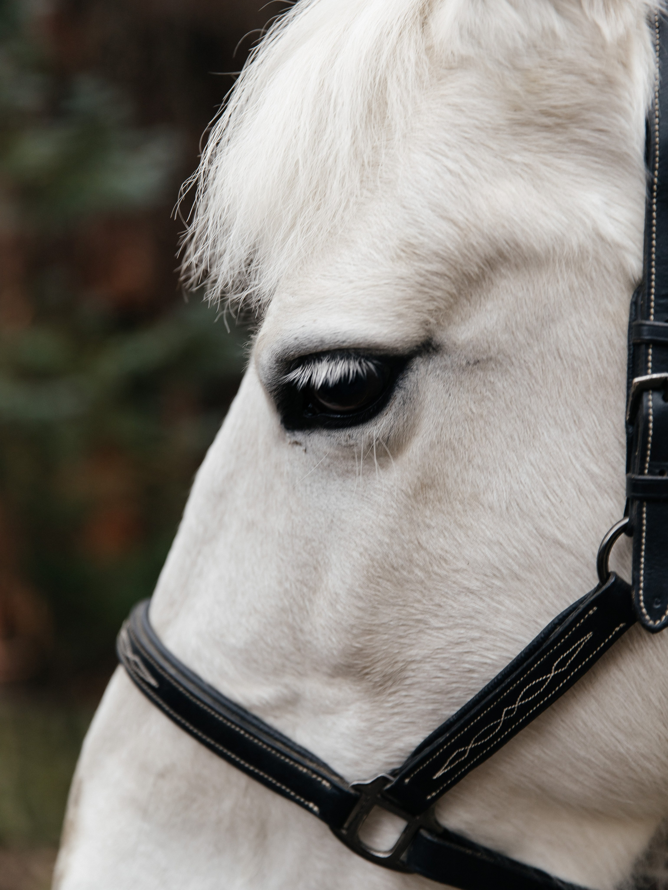 Ферма «Few Horses». Фотограф | портрет | бренды | репортаж