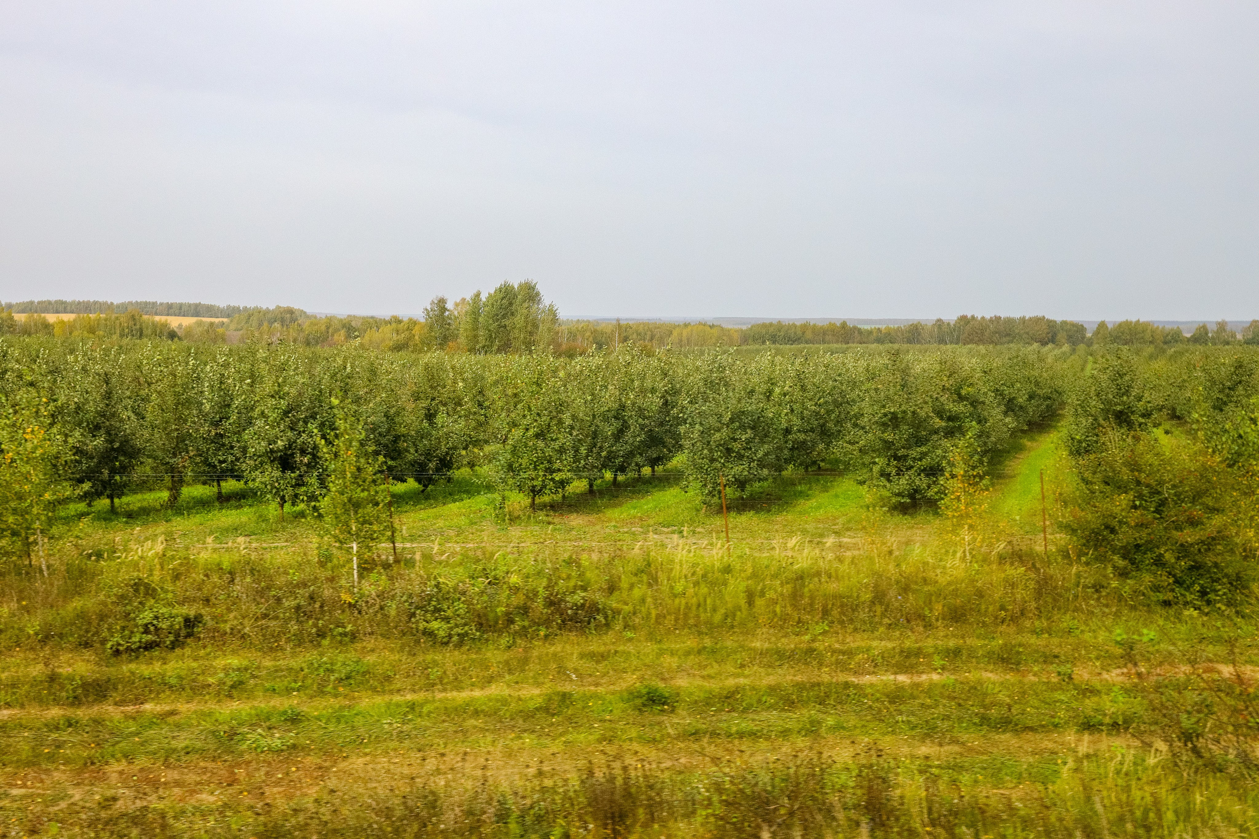 Поездка в Белев и на производство пастилы. Фотограф в Туле Крупский АнДРей. Фотостудия «КАДР71» в Туле