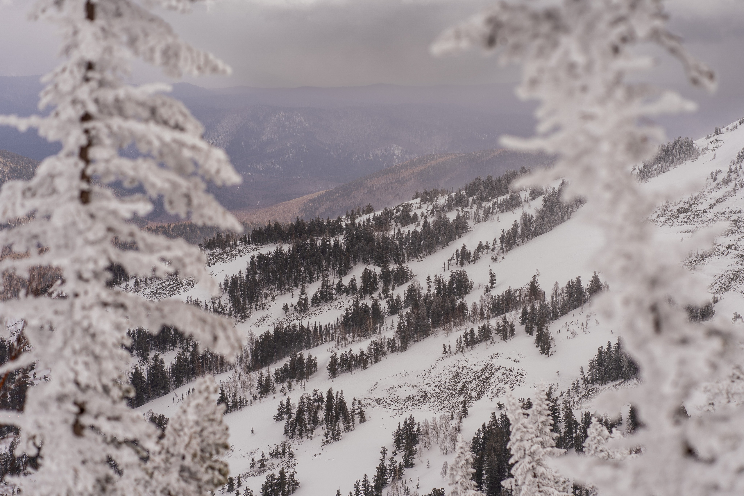 Фрирайд. Анастасия Паршукова — фотограф Шерегеш Новосибирск