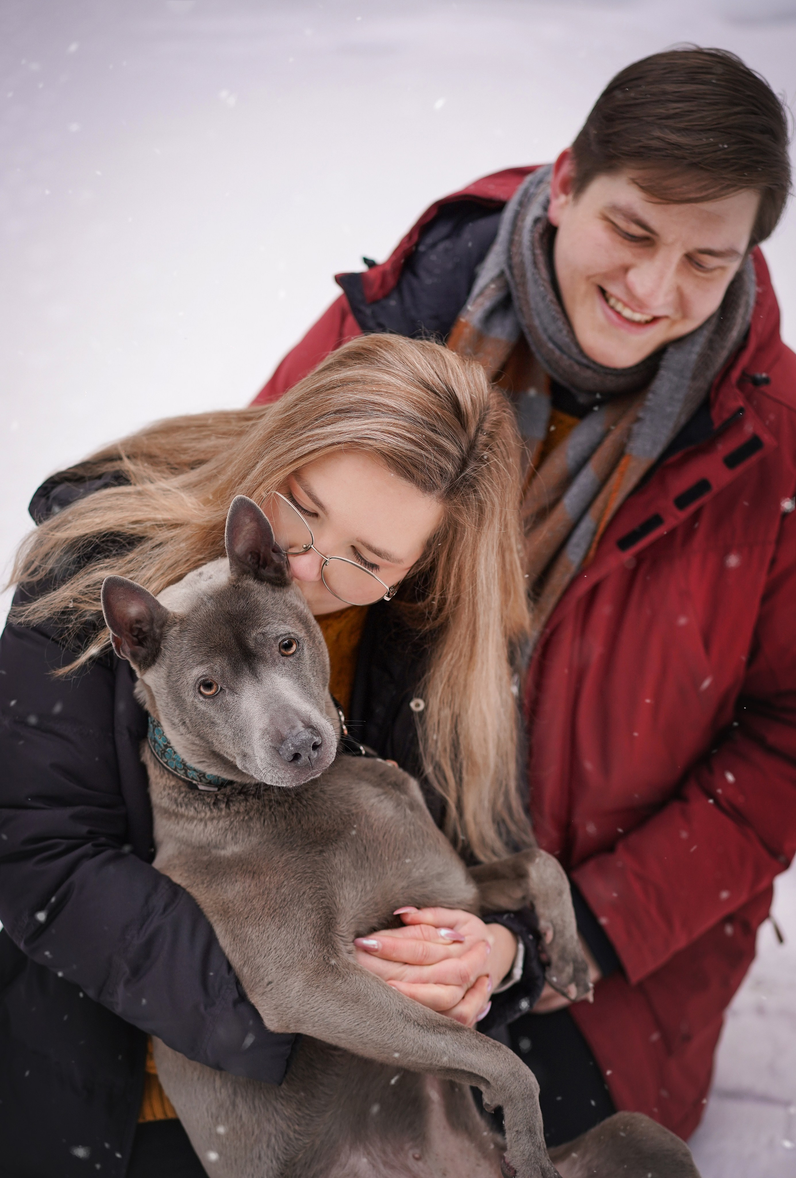 Даша Илья Вениамина и Мэдиссон. Фотограф-анималист в Санкт-Петербурге Яна Мартынова