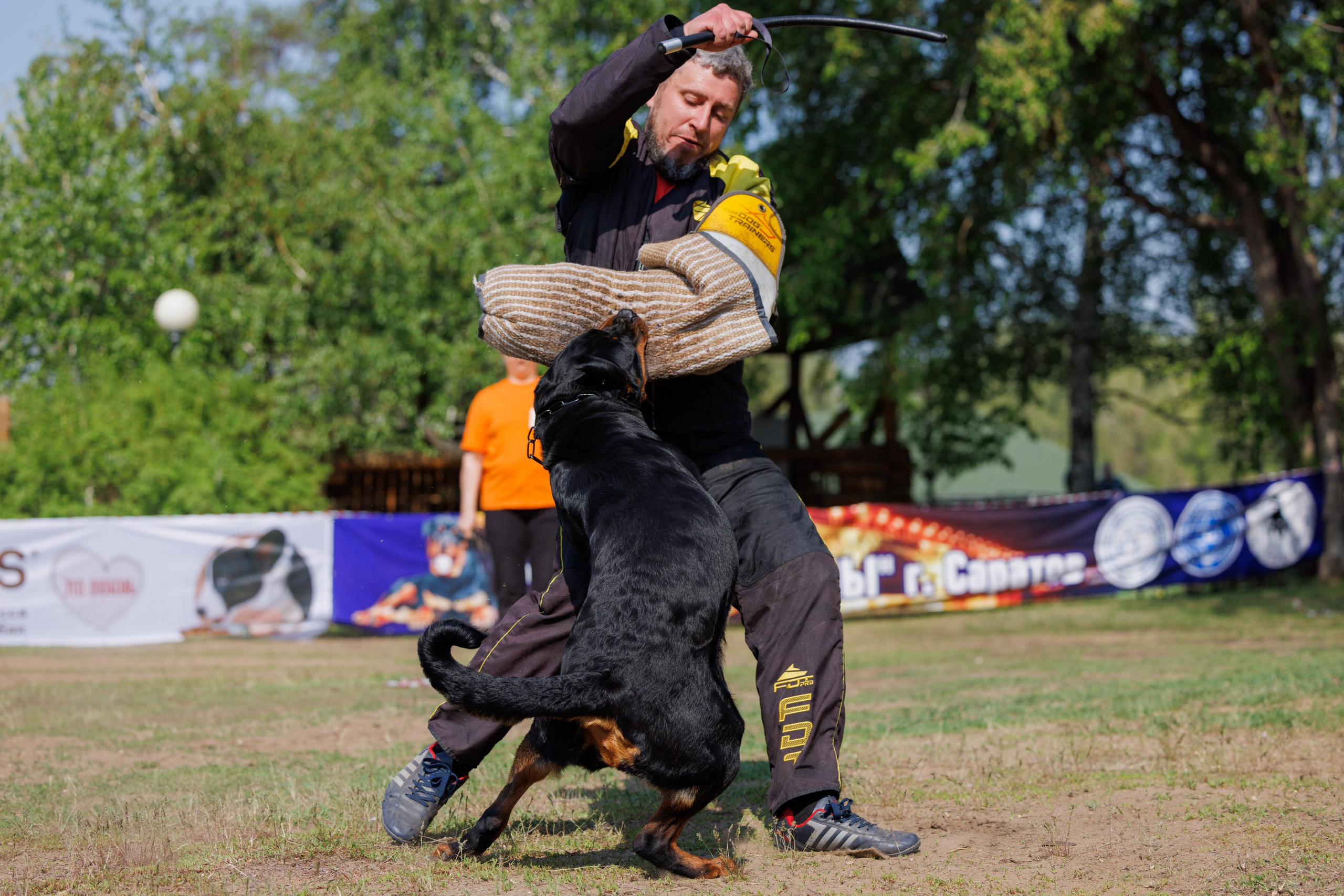 Саратов моно ротвейлеров 26-27.04.2025. Фотограф-анималист Юлия Германика