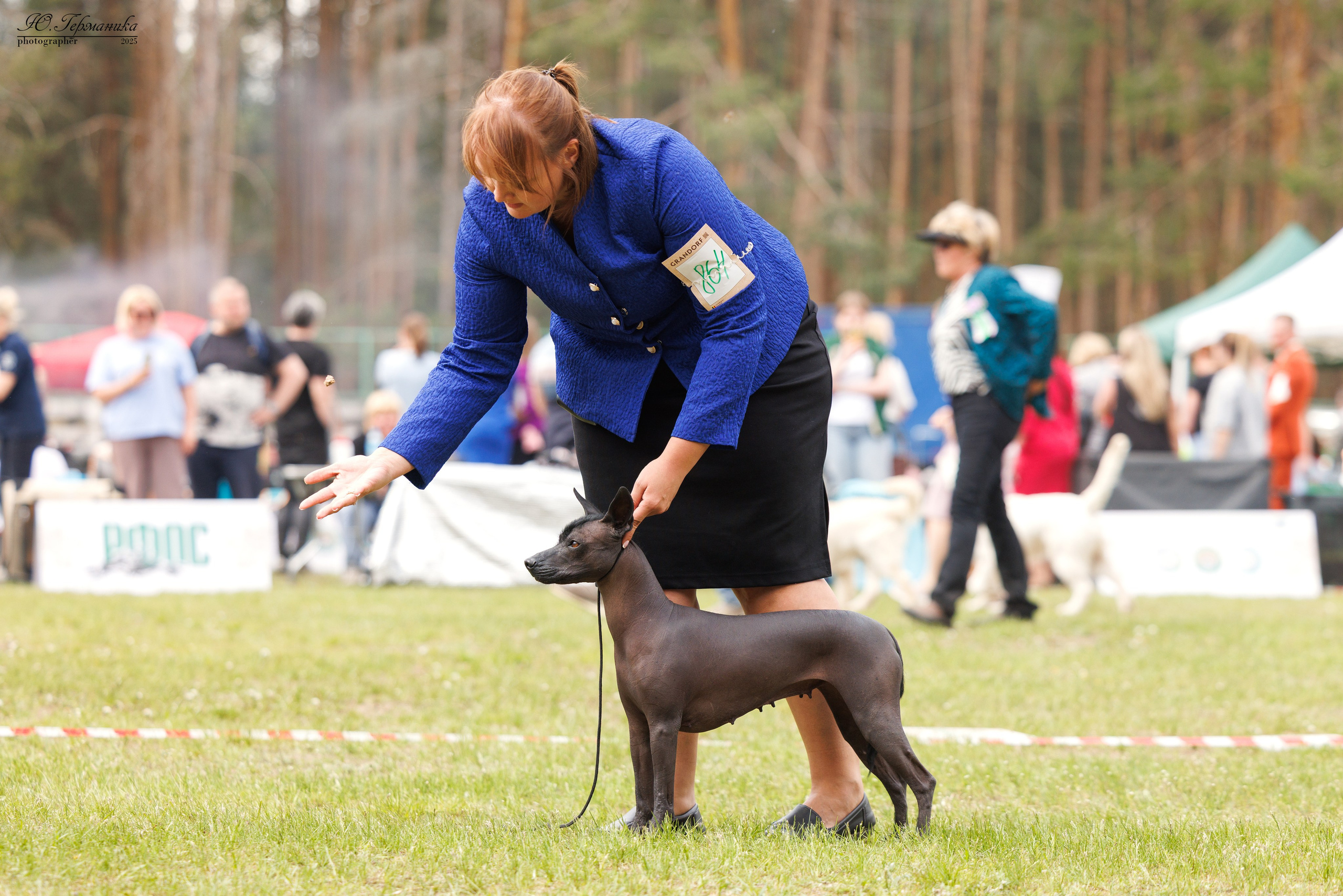 Суздаль(Владимир)17-18.05.2025. Фотограф-анималист Юлия Германика