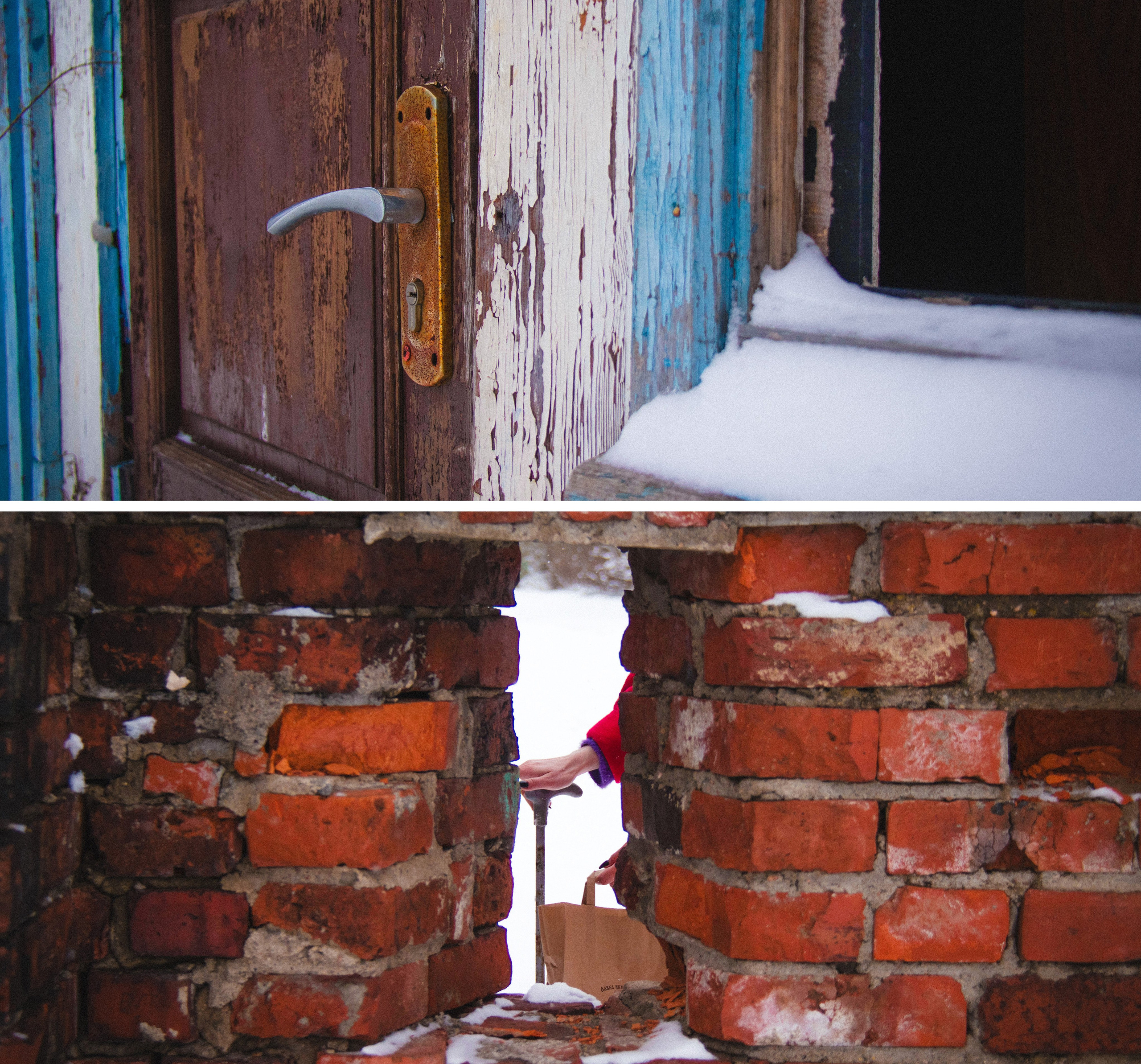 Из наблюдений. Плак или Квак