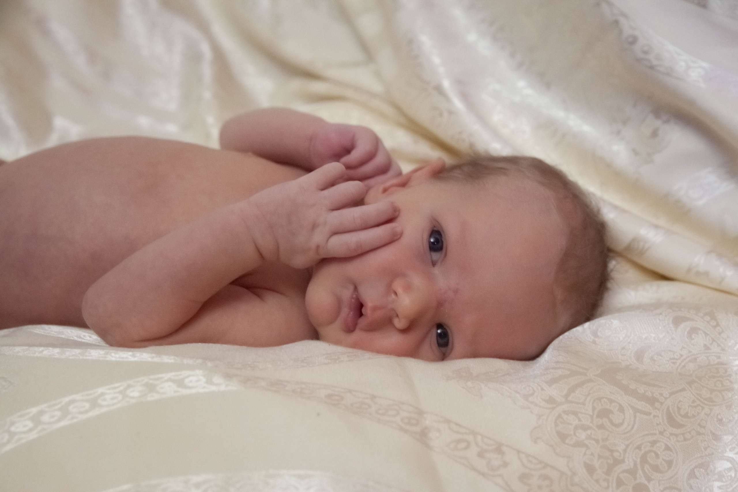 Домовенок. Лена Румянцева — репортажный, детский и семейный фотограф в Москве