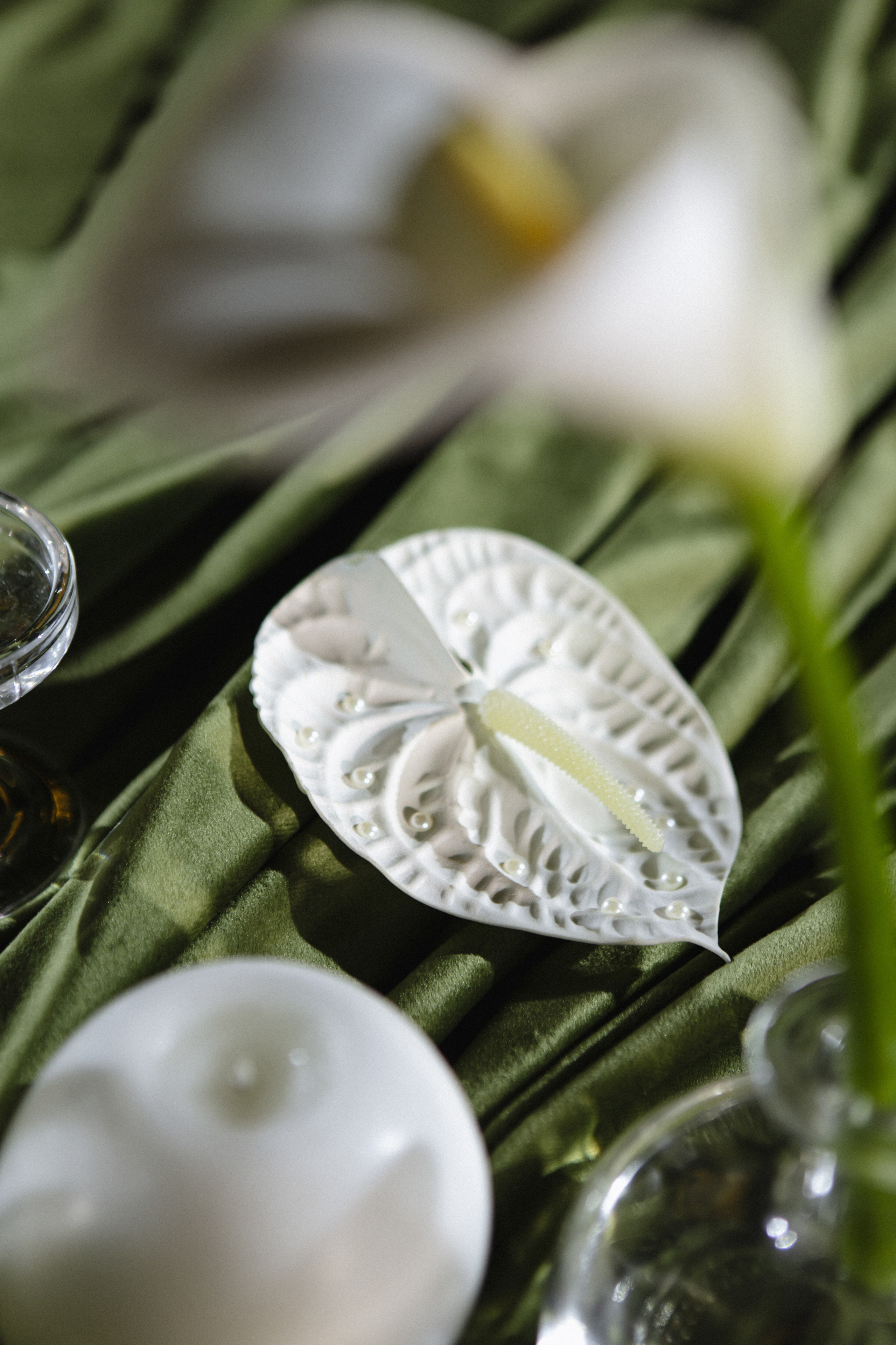 Maksim & Diana. Портретный фотограф в Минске Анастасия Воробей