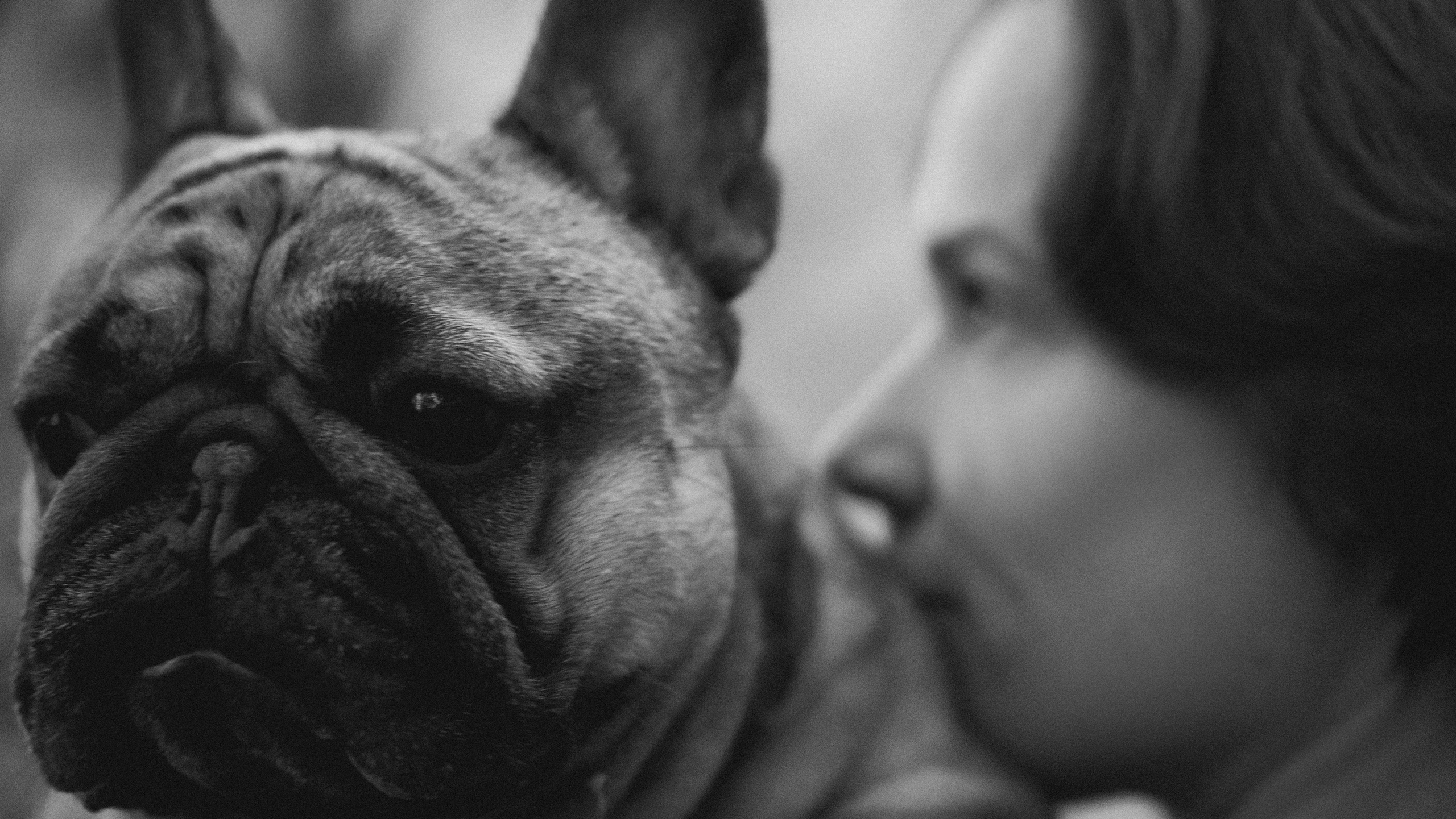 Анастасия и Бенц. Фотограф анималист в Москве и Санкт-Петербурге Свиридова Анна