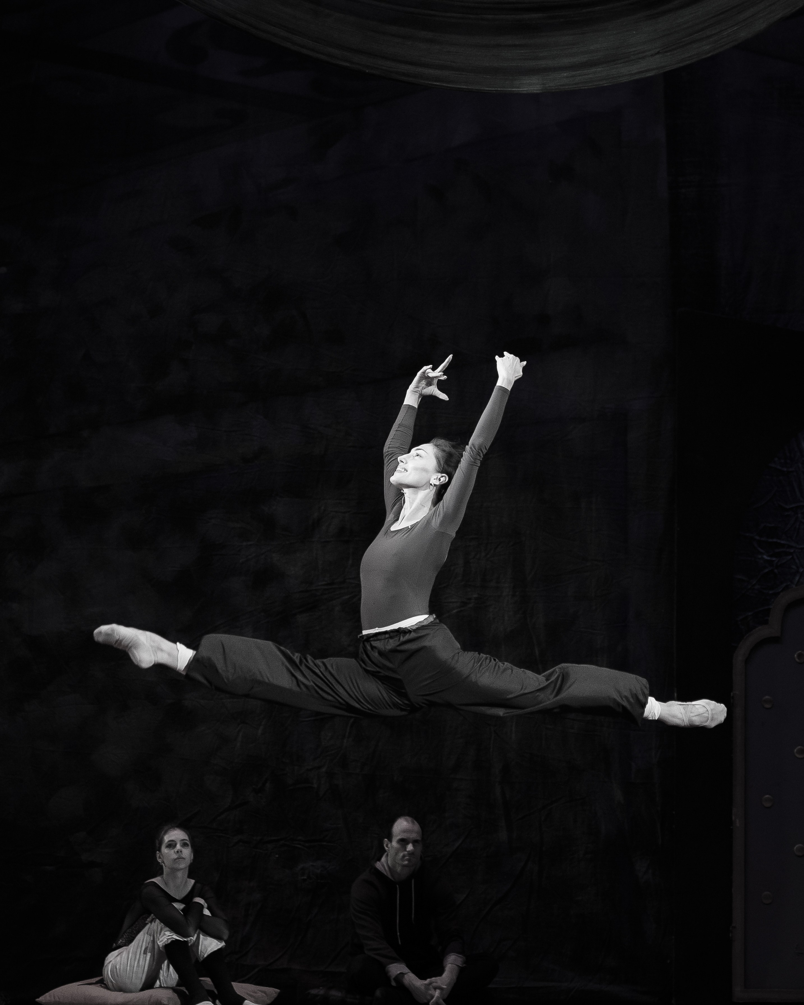 Автографы и имиджи Кремлёвский Дворец — Проект Андриса Лиепа