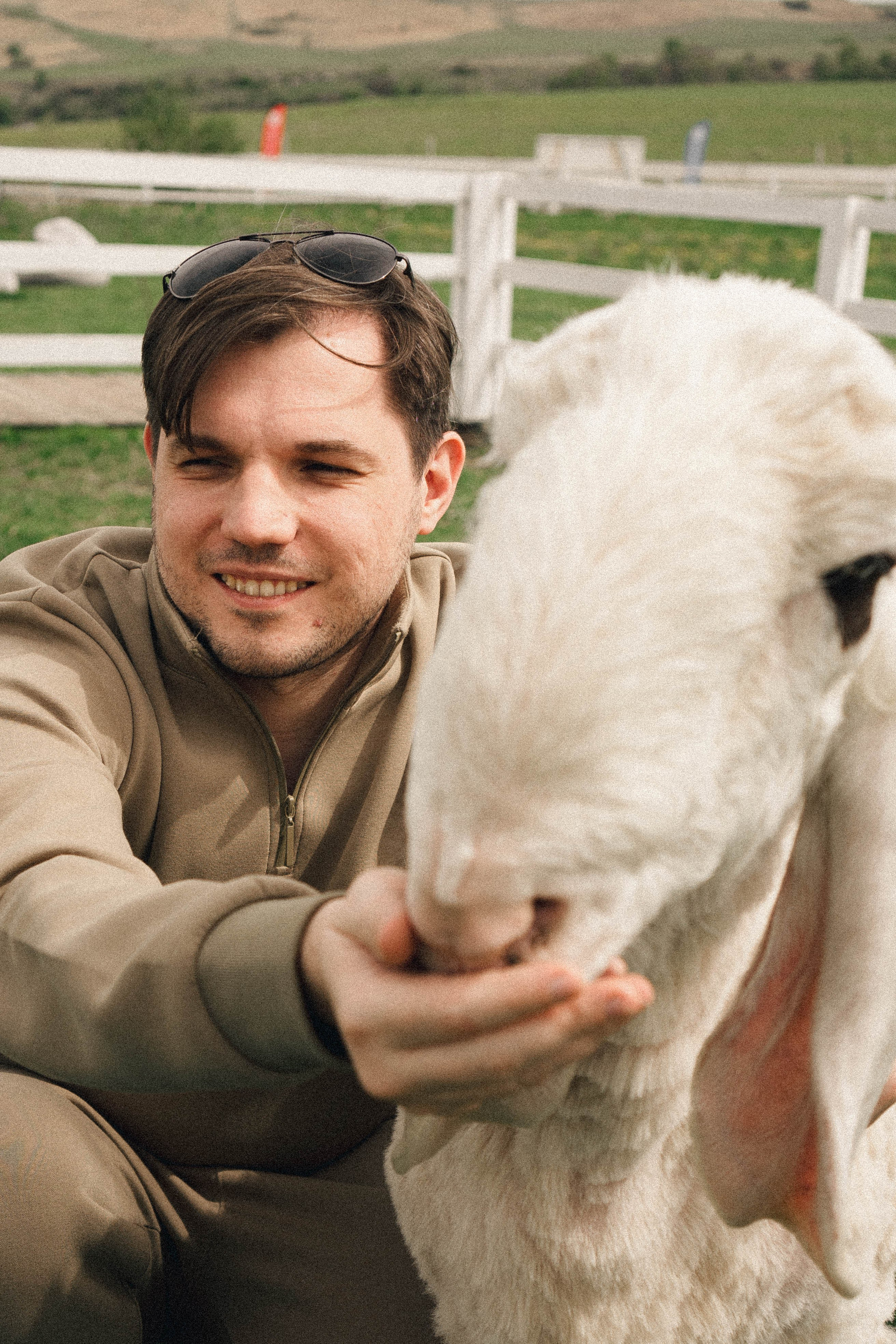 Ферма Альпак. Профессиональный фотограф, Санкт-Петербург — Виктория Богомолова
