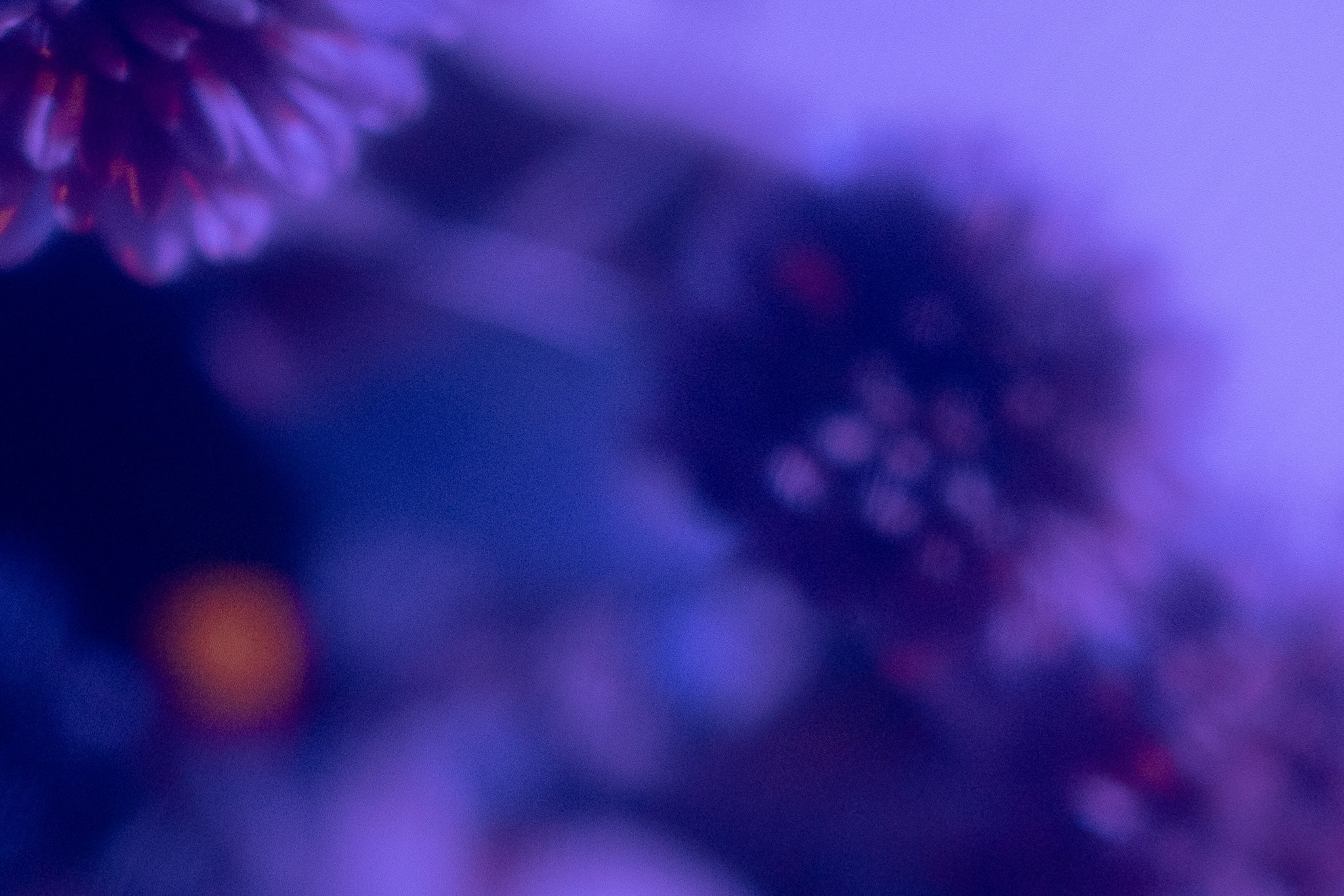 Artist statement. Eliza Ari | visual artist