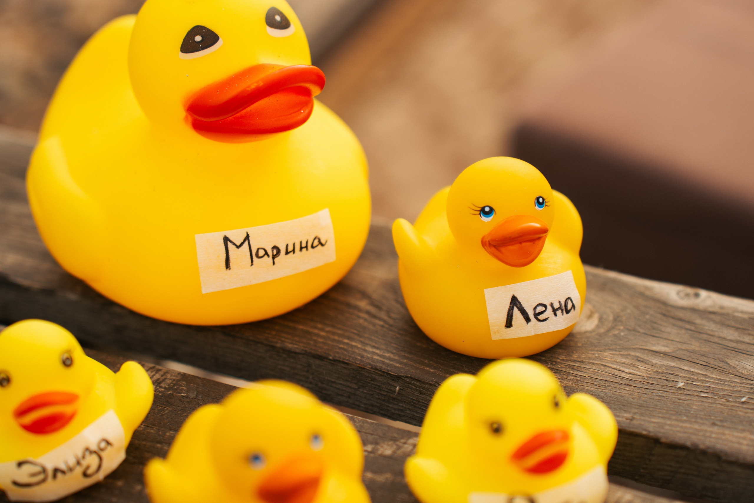 Девичник. Сыч. Фотограф в Воронеже Ольга Космодемьянская