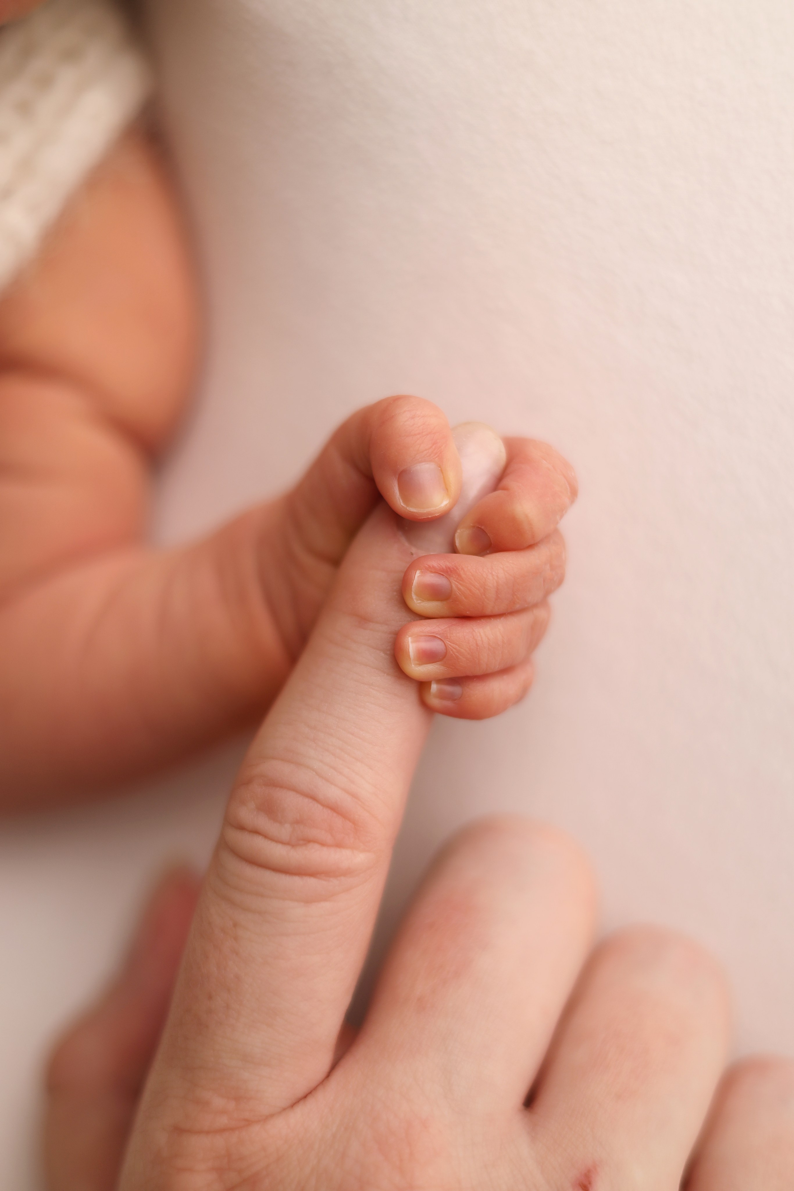 Ньюборн фотосессия Артемия. Фотограф новорожденных в Москве. Фотограф новорожденных Москва. Ньюборн фотограф Москва